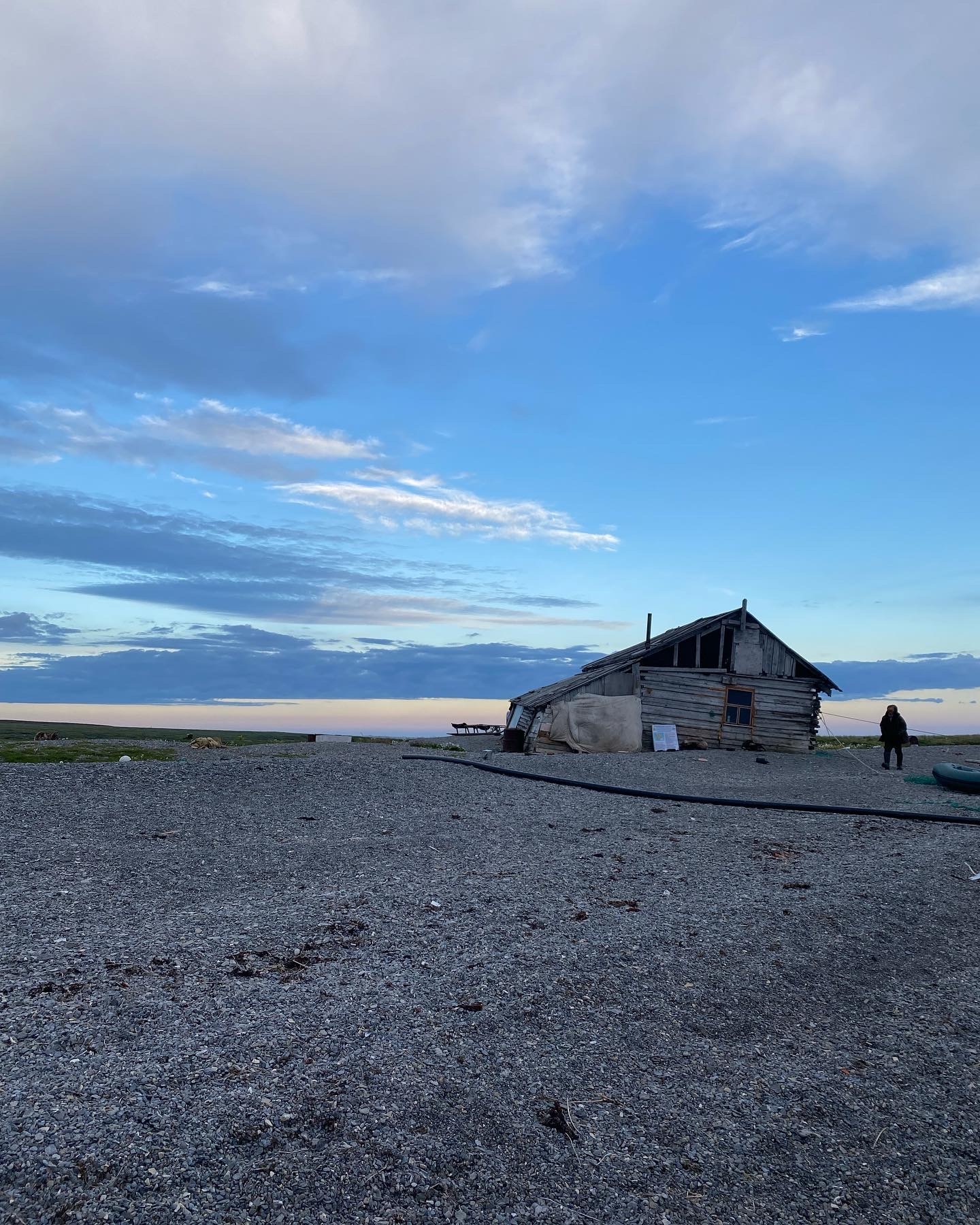 O. Vaygach and South Island (Novaya Zemlya) on the schooner Amazone - My, North, Vaygach, New earth, Novaya Zemlya Archipelago, Schooner, Longpost, Polar bear