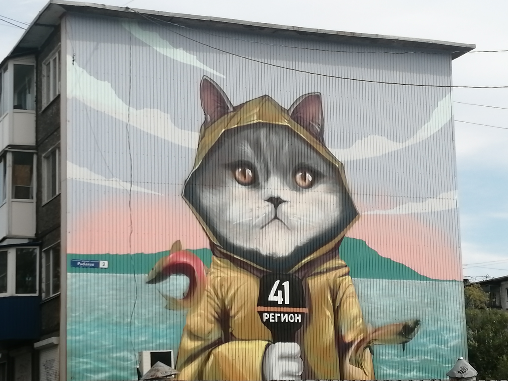 beautiful mural - My, Mobile photography, cat, Kamchatka