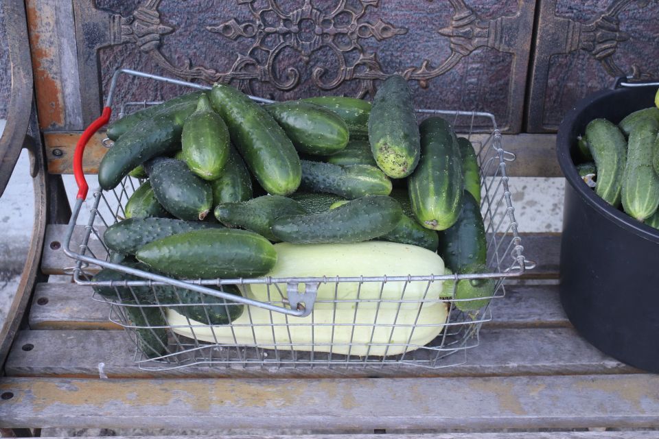 Урожай 2022. Краткий отчет | Пикабу