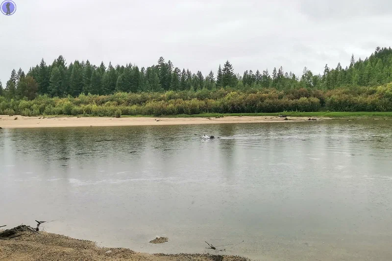 We still got here: Chara Sands or the northernmost and irregular desert in the world - Char Sands, Tract, Travel across Russia, Desert, Yandex Zen, Longpost, Дальний Восток