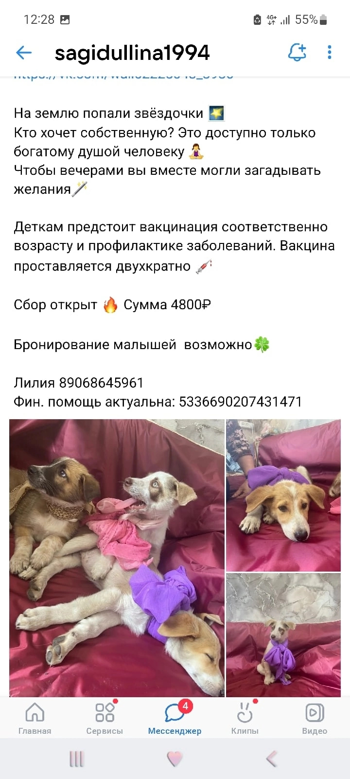 Heroes need to be known by sight! - My, Help, Dog, Chelyabinsk, Longpost