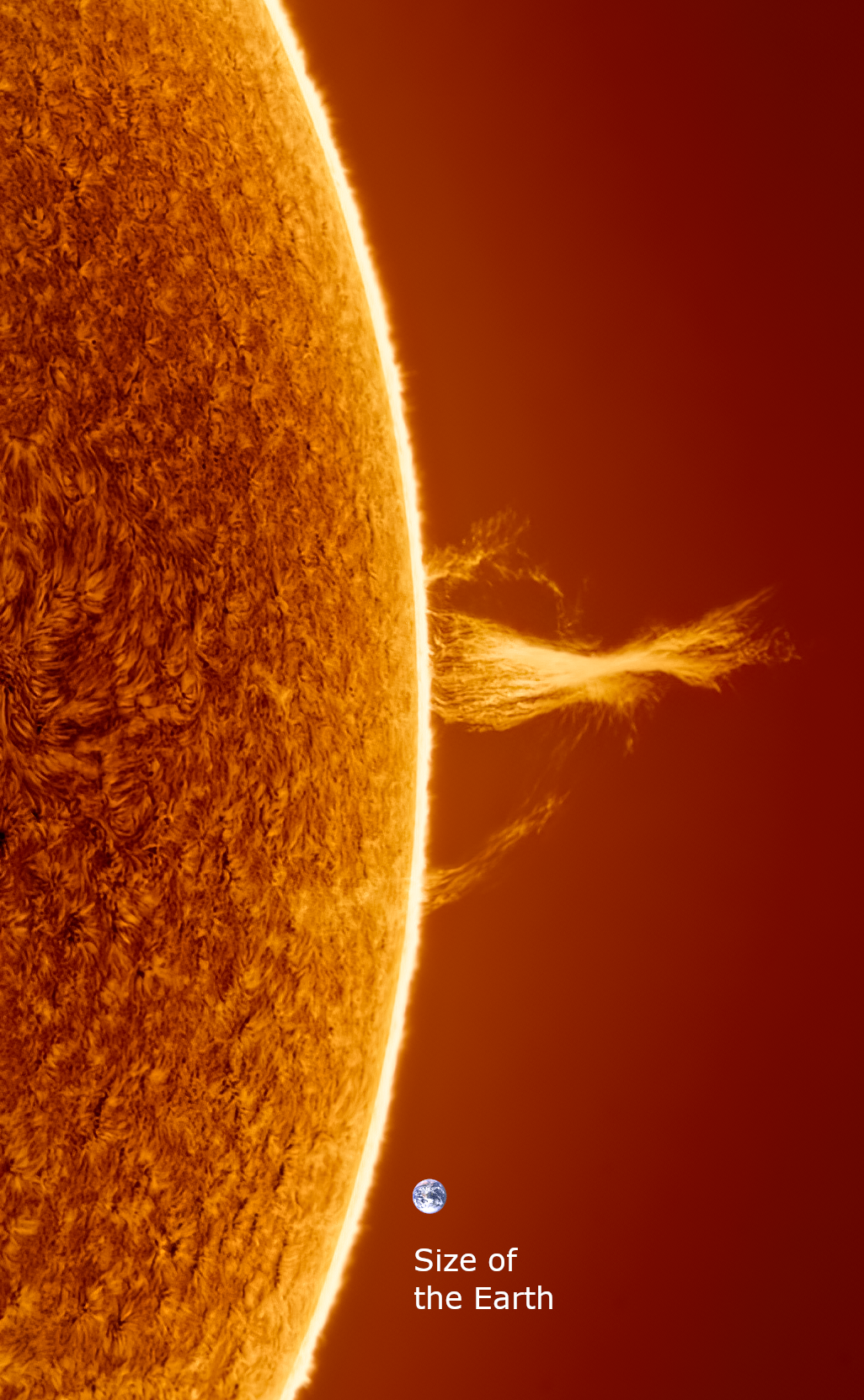 A prominence with a height of about 140,000 km, in the image of the Sun. August 28, 2022 - The photo, The sun, Prominences, Scale, Planet Earth