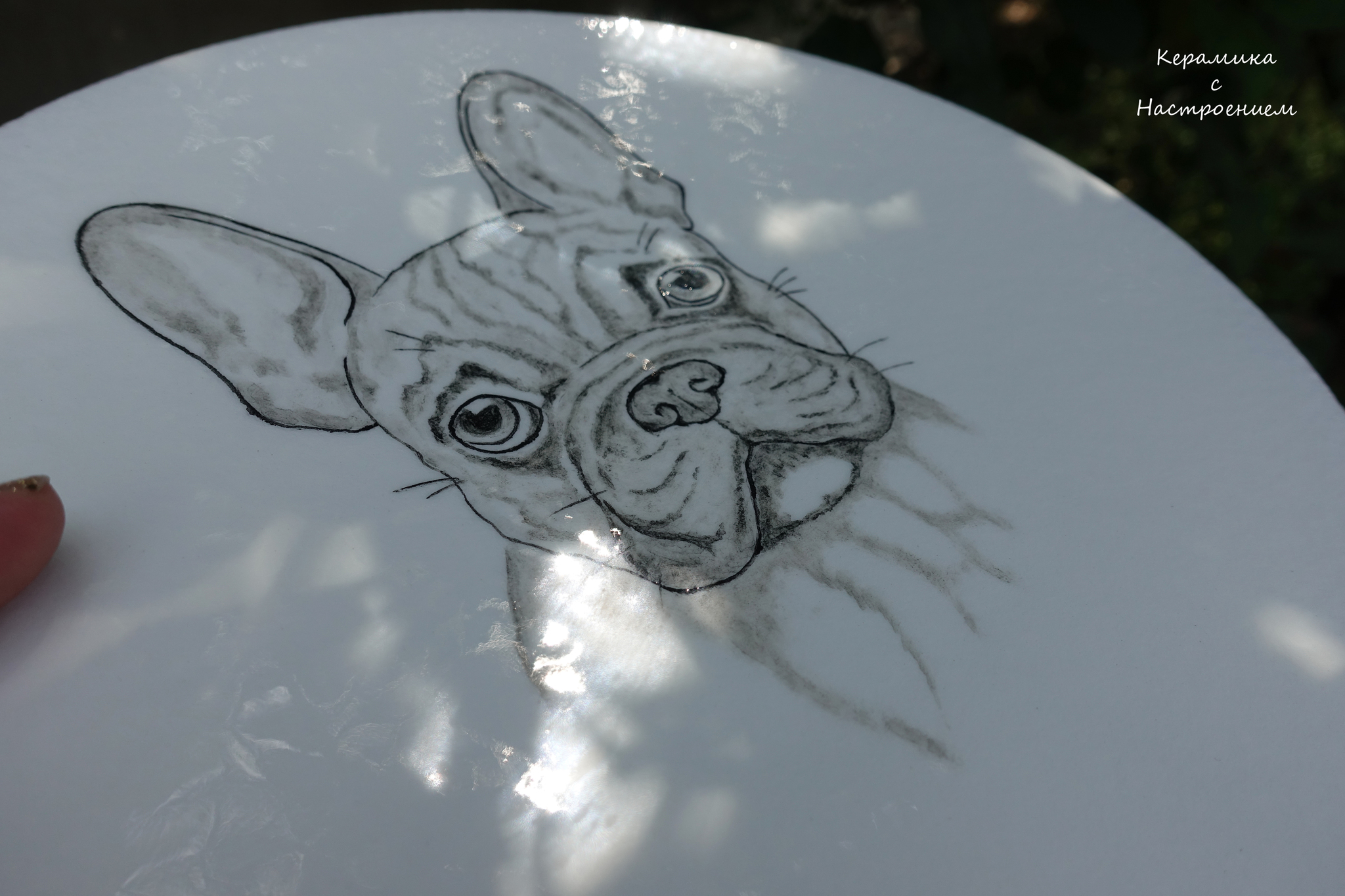 decorative plates - My, Ceramics, Plate, Horse head, Capricorn, Decor, Presents, Handmade, Needlework without process, Interior, With your own hands, Video, Longpost