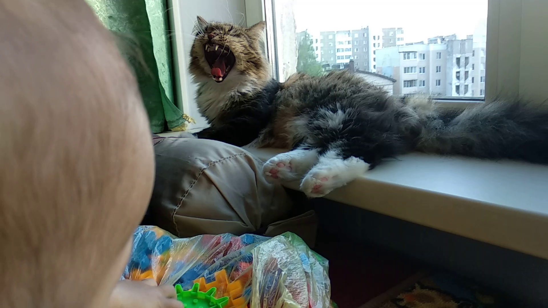 AAAAAAA!!!!!! - My, cat, Milota, Yawn, Children, Pets