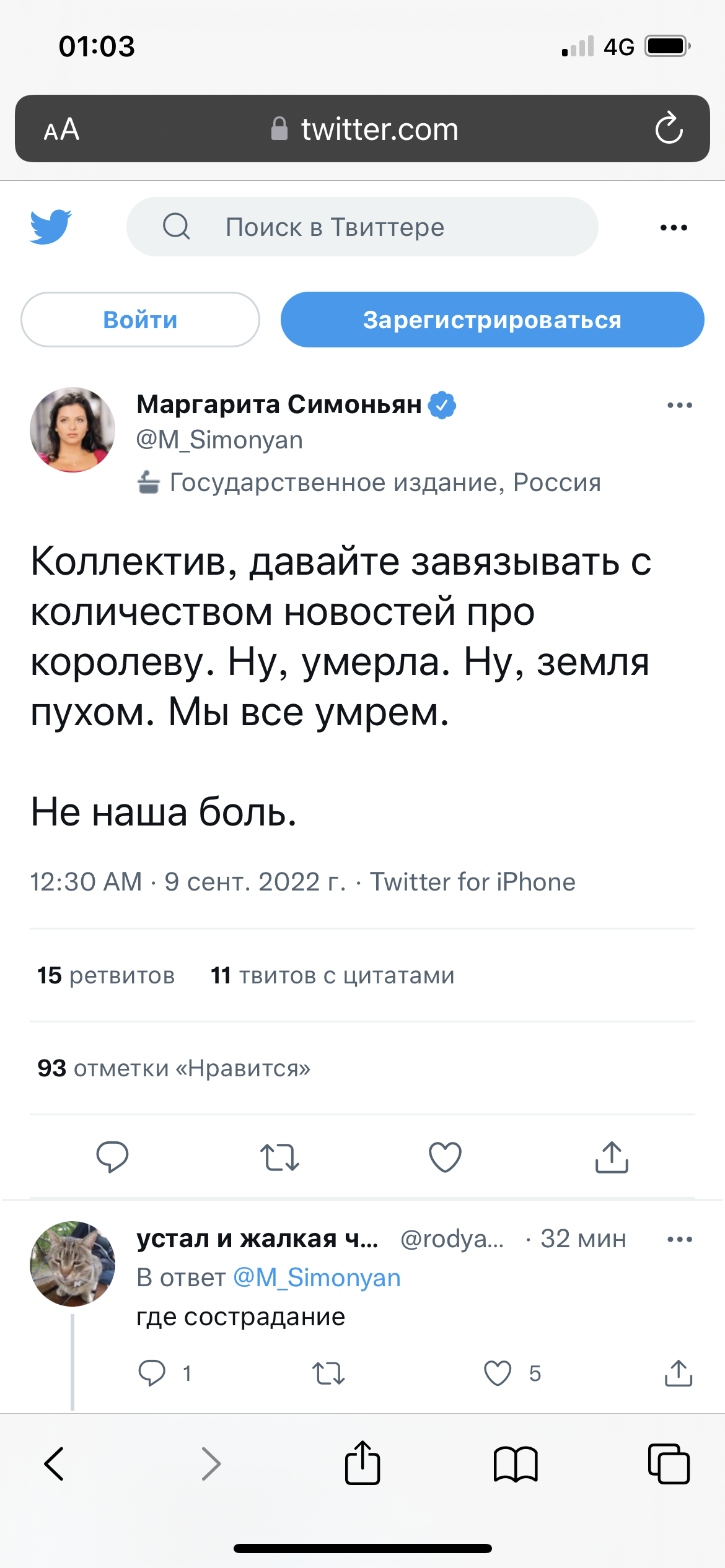 How small and ugly she is! - Disgusting, Margarita Simonyan, Longpost