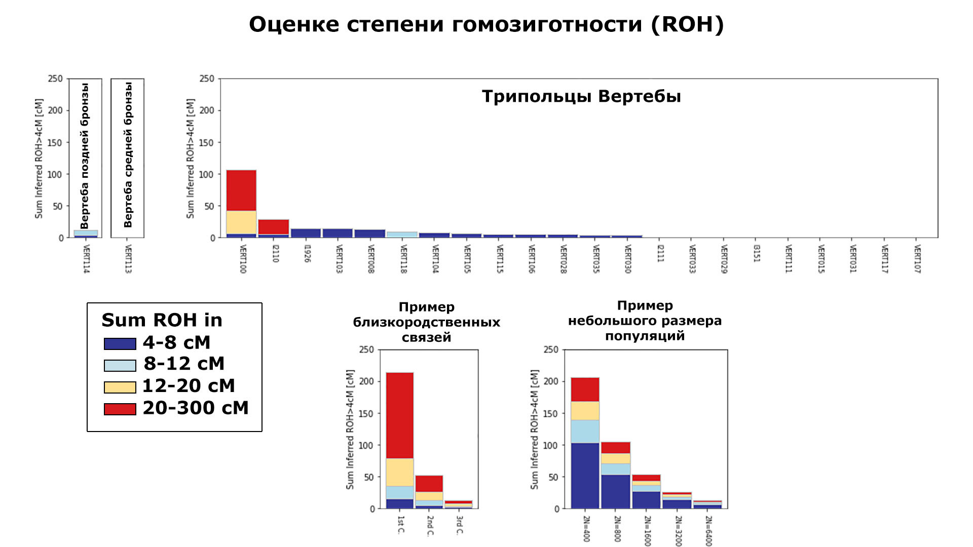 Генетический анализ представителей трипольской культуры из пещеры Вертеба ( Тернопольская обл., Украина) | Пикабу