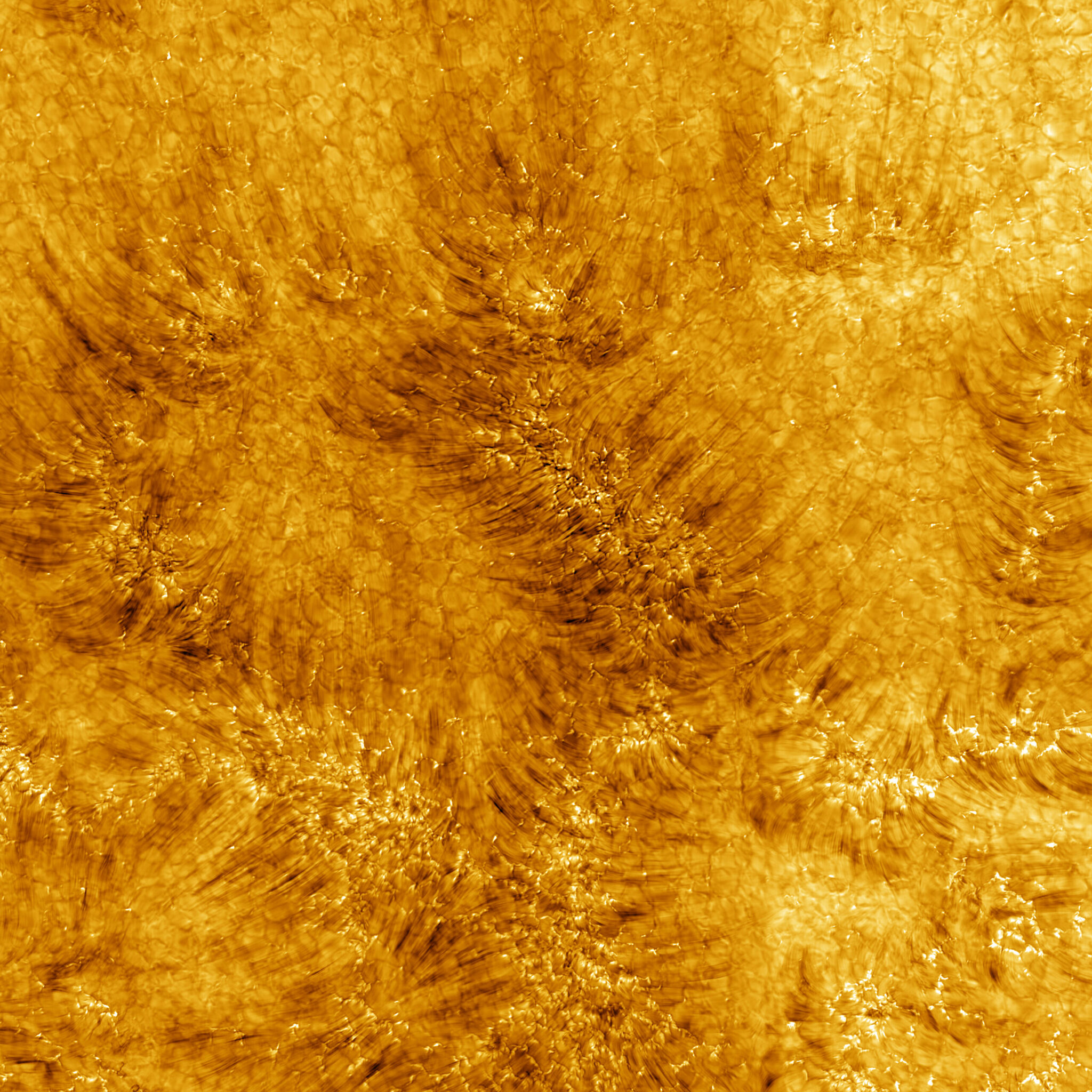 The first images of the solar chromosphere from the telescope Inoue - Astronomy, The sun