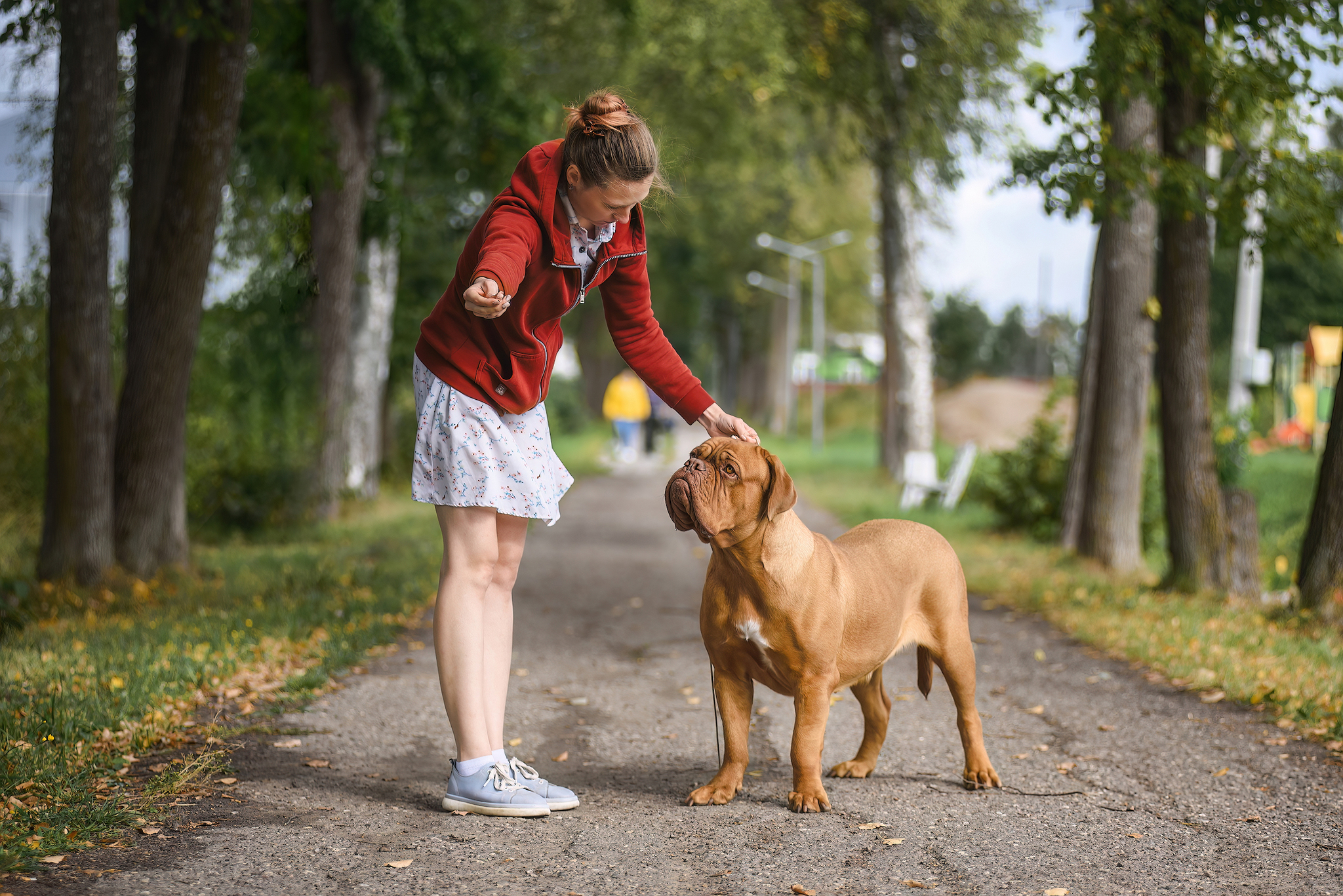 Torah - My, The photo, Dog, Summer, Pets, Great Dane of Bordeaux, Longpost