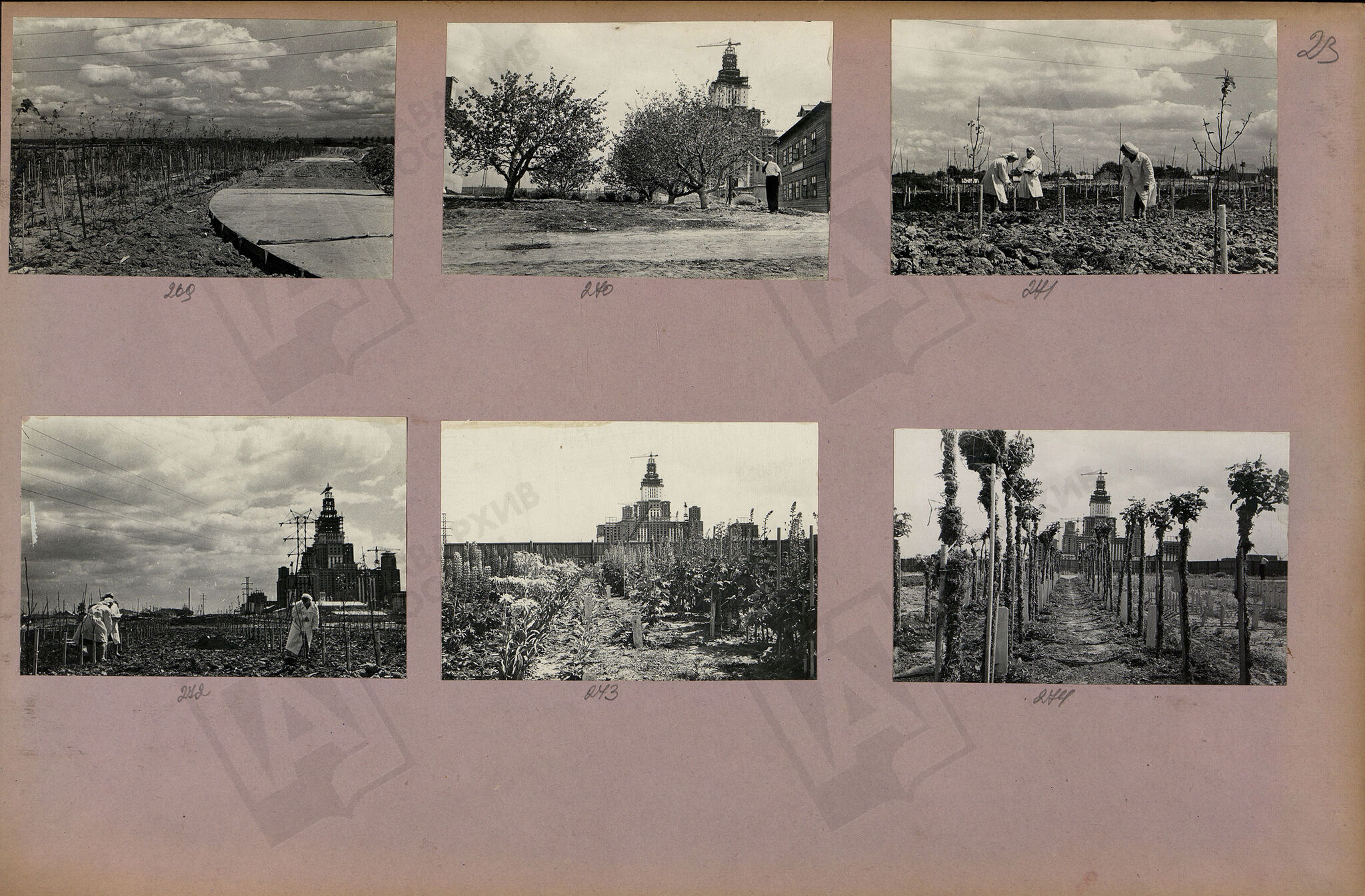 Construction of Moscow State University in photographs 1949-1951 - MSU, Building, The photo, Black and white photo, Moscow, Story, sights, Architecture, Historical photo, Longpost