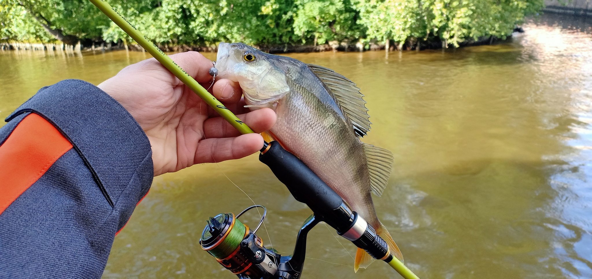 Another walk along the rivers - My, Street phishing, Spinning, Fishing, Perch, Longpost