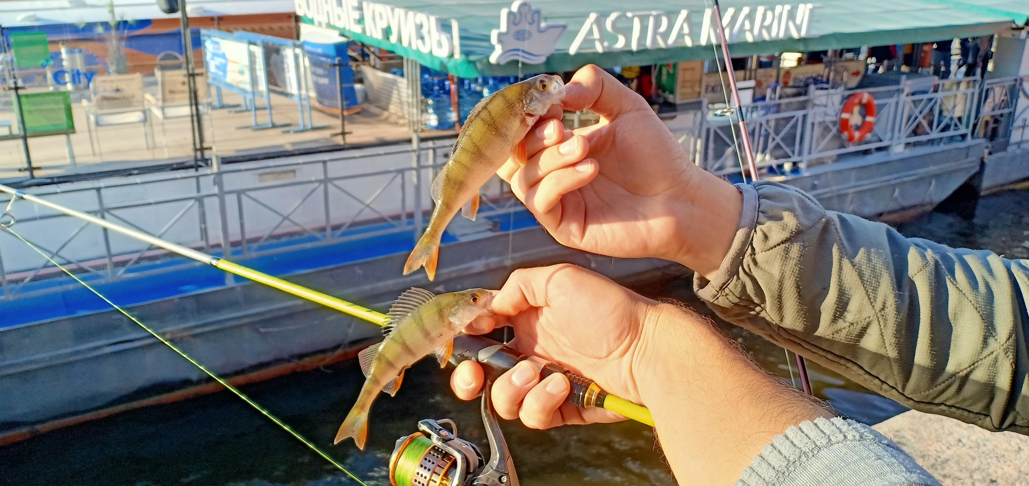 Another walk along the rivers - My, Street phishing, Spinning, Fishing, Perch, Longpost