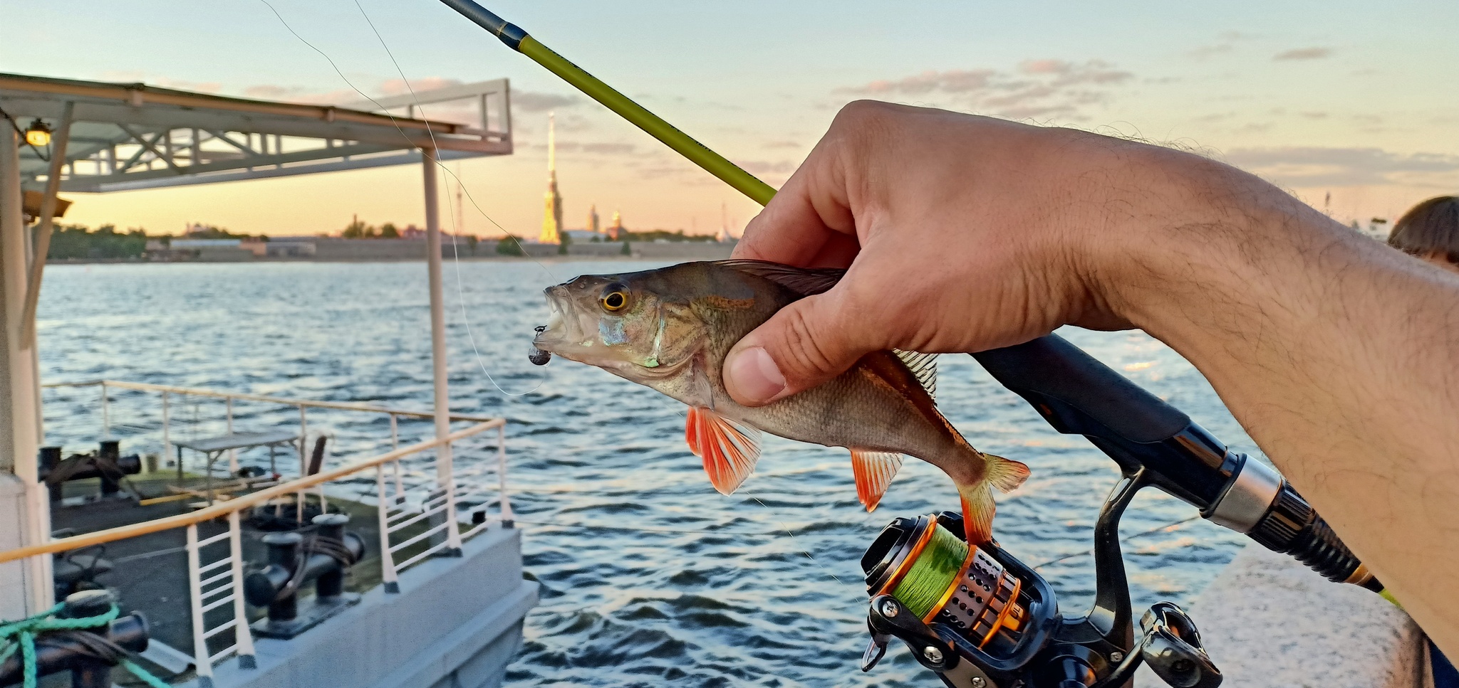 Another walk along the rivers - My, Street phishing, Spinning, Fishing, Perch, Longpost