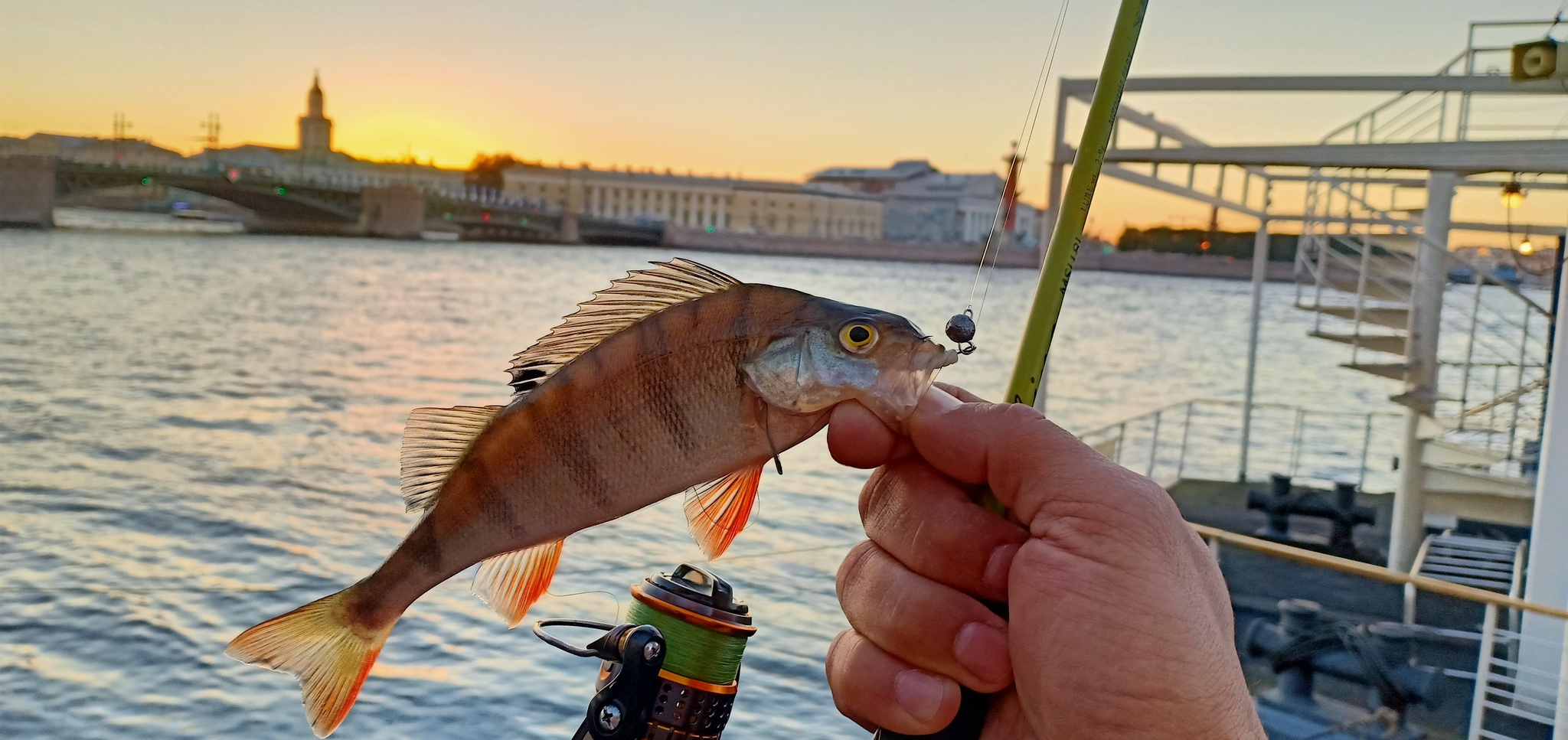 Another walk along the rivers - My, Street phishing, Spinning, Fishing, Perch, Longpost