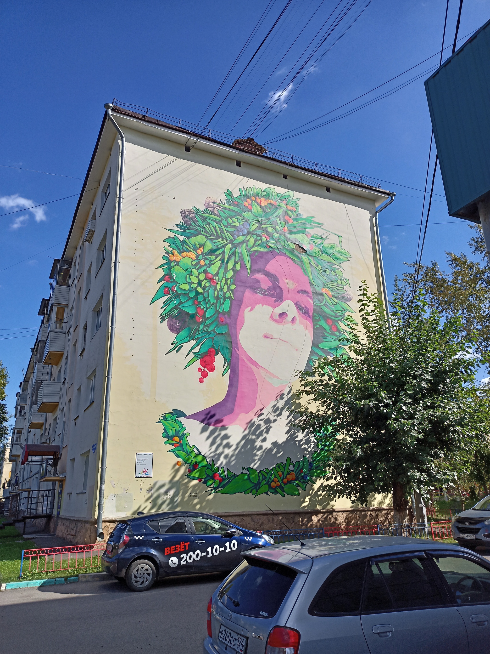 painted walls - Krasnoyarsk, Wall, Graffiti, Khrushchev, Longpost, Mural