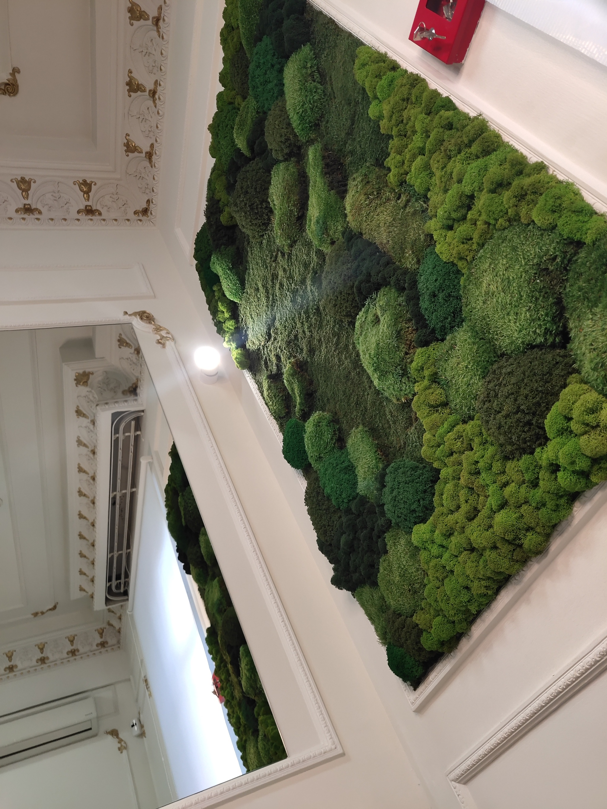 MOSS - My, Moss, Handmade, beauty of nature, Art, Vegetation, Registration, Creation, Cosiness, Style, Fashion, Painting, Invoice, Nature, Forest, Panel, Triptych, Longpost, Landscaping