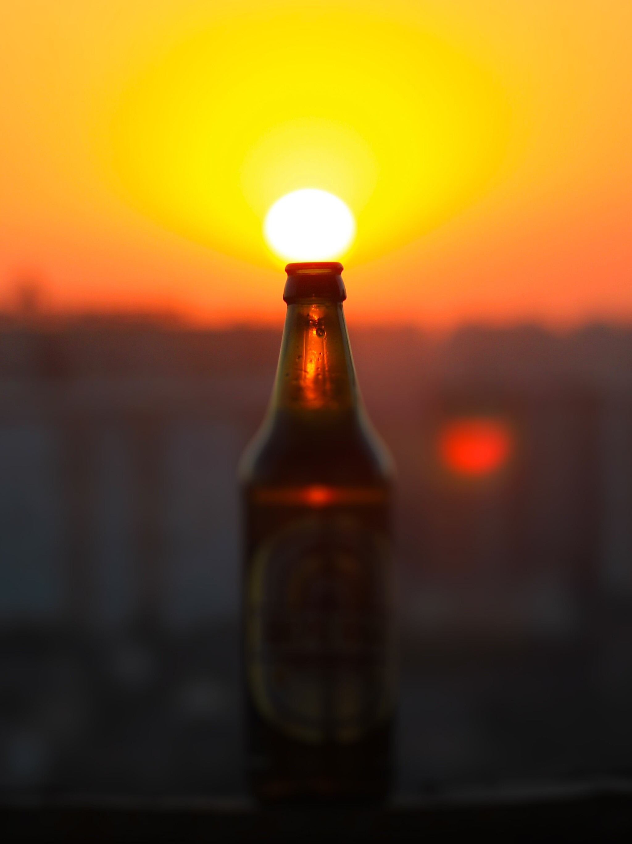 Глоток солнца | Пикабу