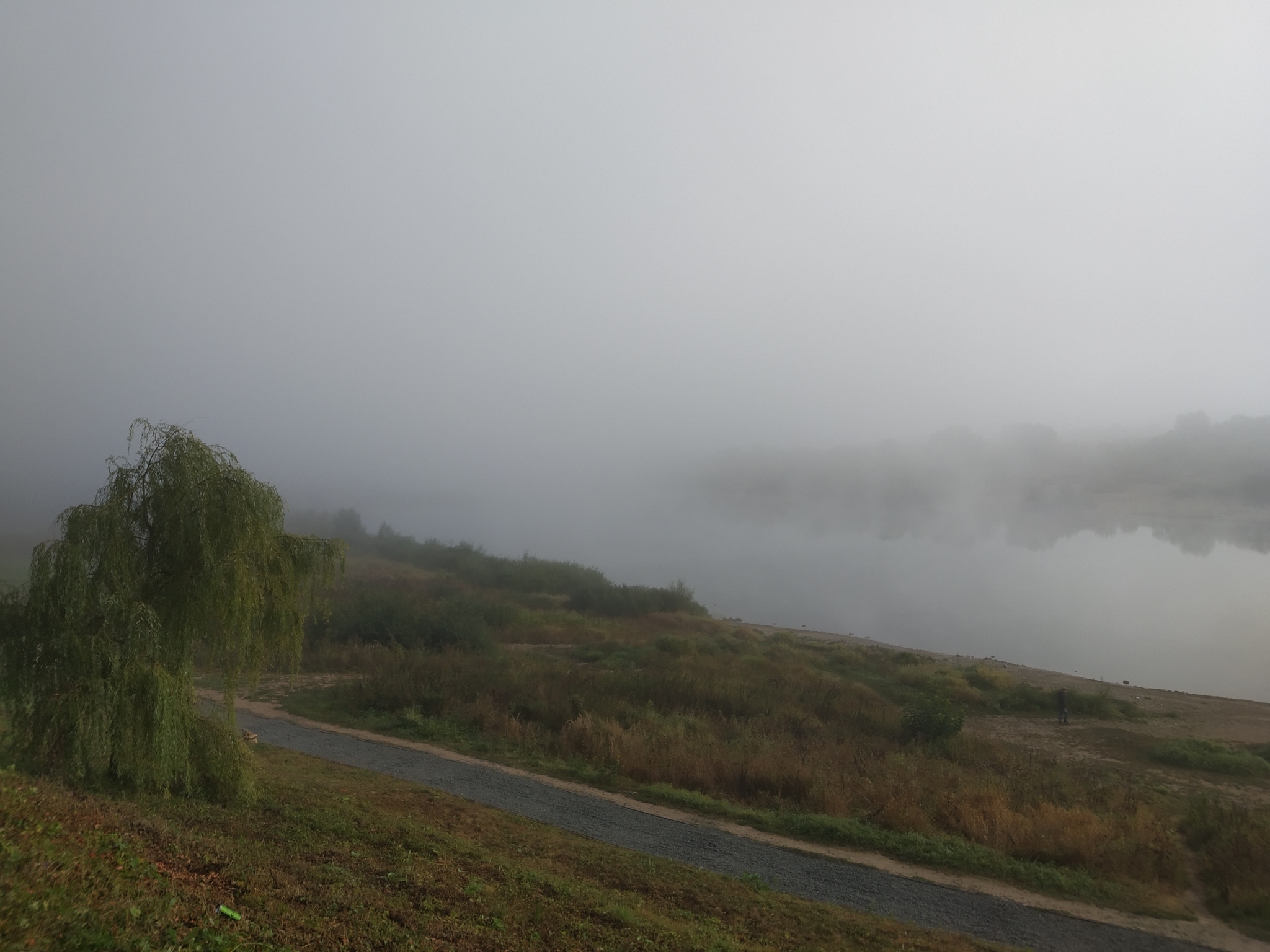 Foggy morning on the Oka - My, River, Fog, cat, Longpost