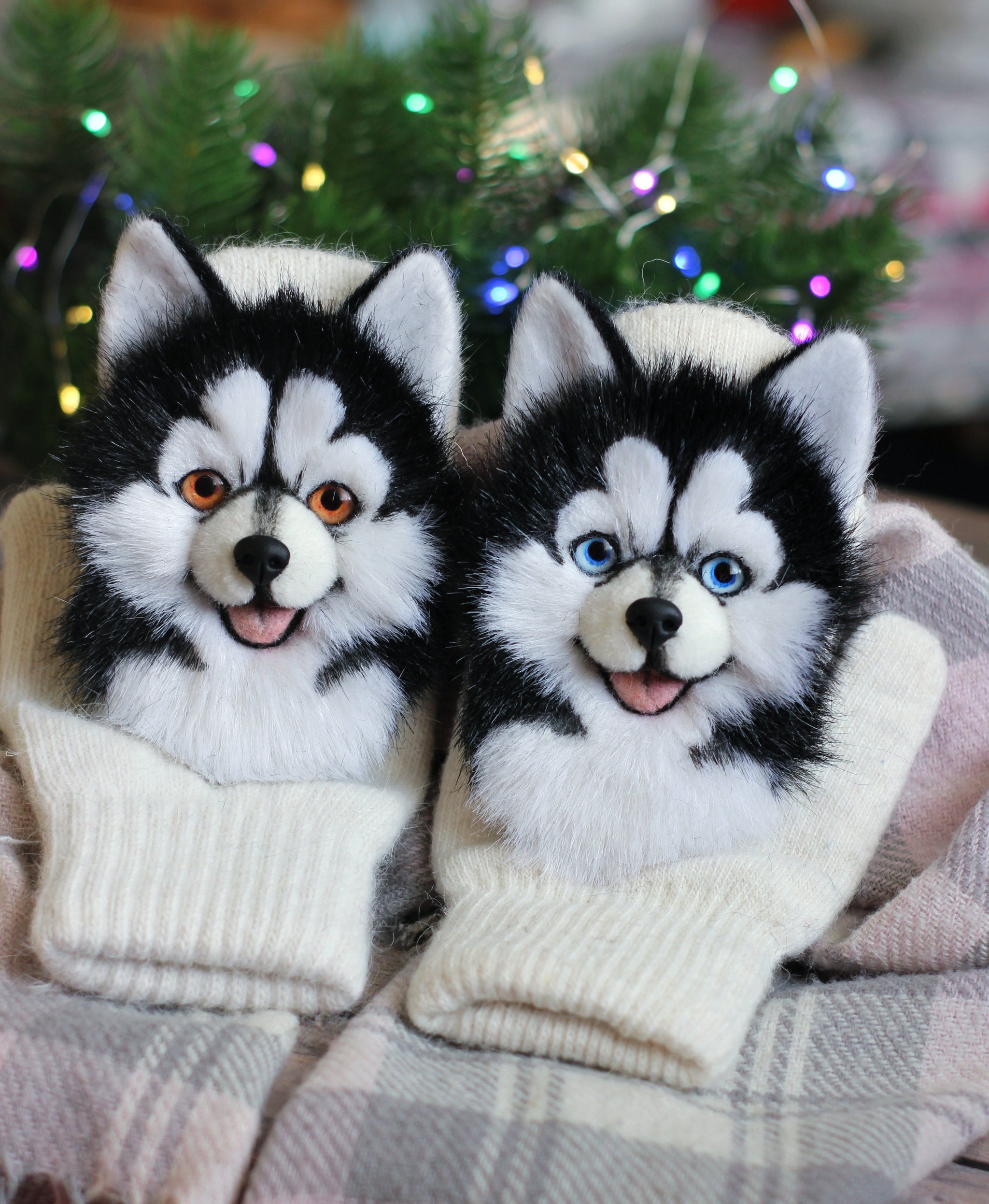 Husky Mittens - My, Needlework without process, Handmade, Husky, Dog, Mittens, Artificial fur, Nature, Longpost, Animal husbandry