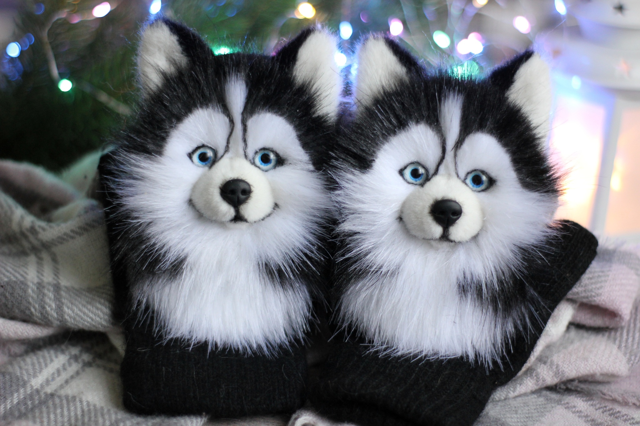 Husky Mittens - My, Needlework without process, Handmade, Husky, Dog, Mittens, Artificial fur, Nature, Longpost, Animal husbandry