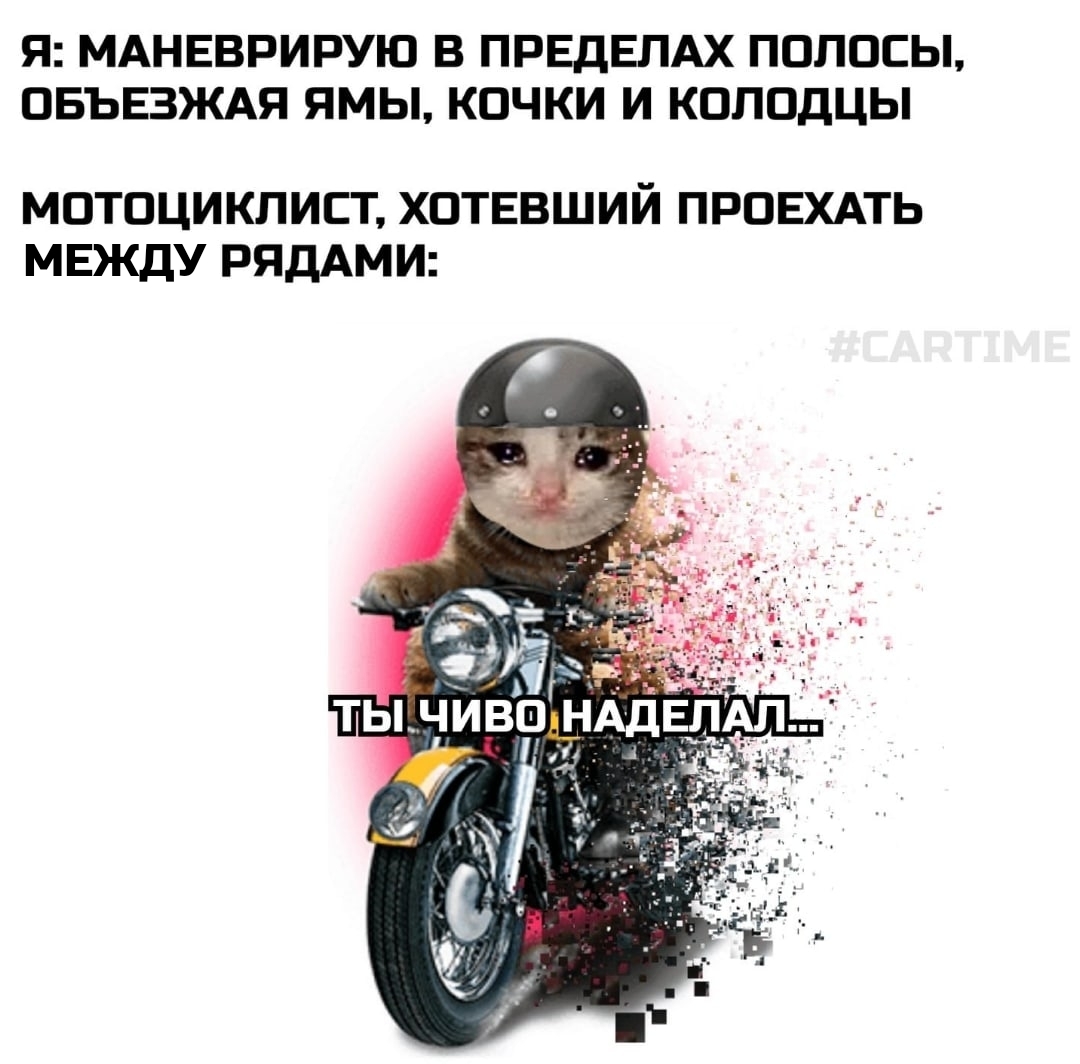 For atoms... - My, Auto, Memes, Humor, Motorcyclists, Black humor, Picture with text, cat