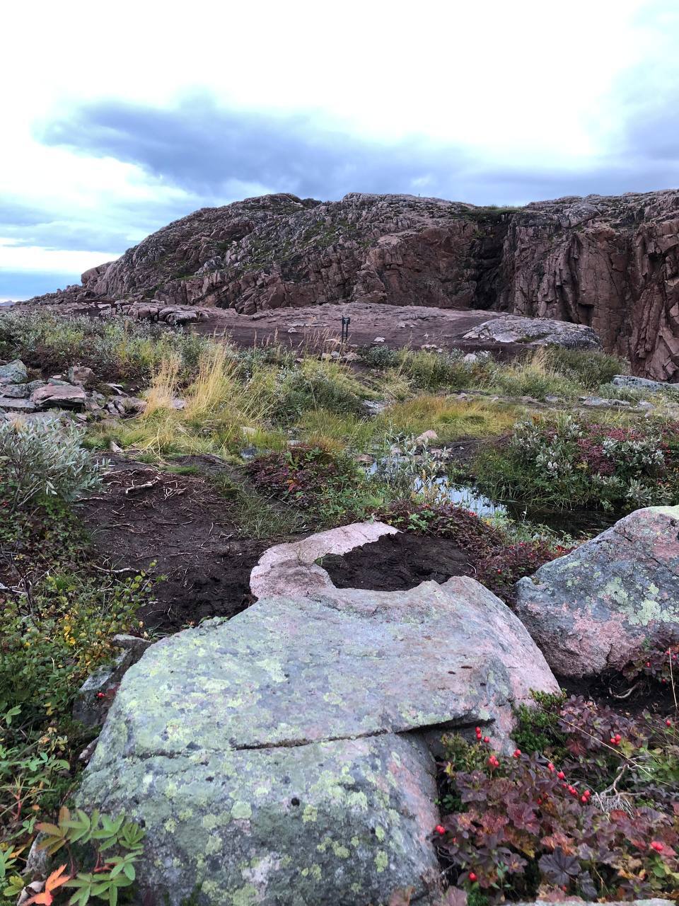 Journey to Teriberka - My, The photo, Nature, Russia, The nature of Russia, The rocks, Waterfall, Teriberka, Sea, River, Lake, Sky, Shore, Mobile photography, Murmansk region, Berries, Landscape, beauty, Travels, Travel across Russia, Longpost, beauty of nature