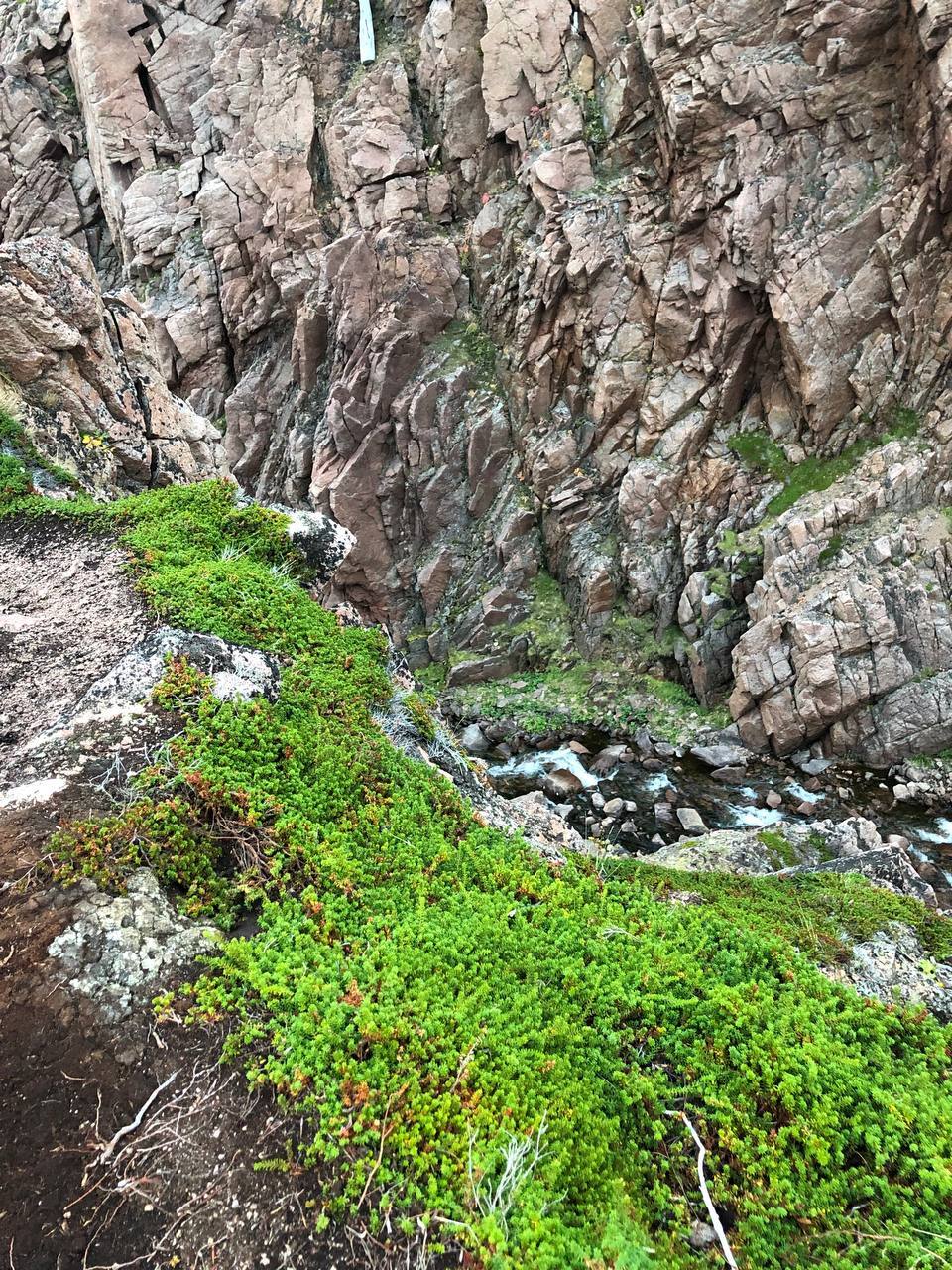 Journey to Teriberka - My, The photo, Nature, Russia, The nature of Russia, The rocks, Waterfall, Teriberka, Sea, River, Lake, Sky, Shore, Mobile photography, Murmansk region, Berries, Landscape, beauty, Travels, Travel across Russia, Longpost, beauty of nature