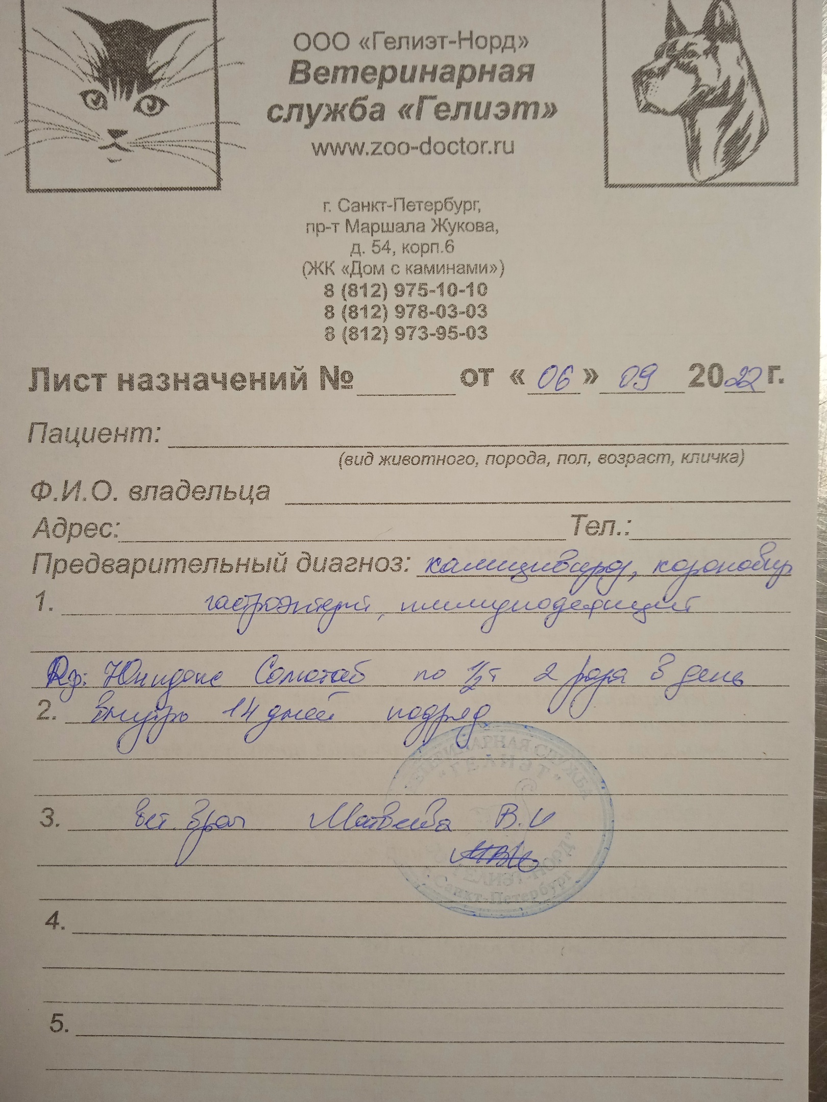 Ребята, очень прошу обратите внимание на Потапа из Тосно. Он старенький,  его бросили, у него ВИК. СПб и ЛО | Пикабу