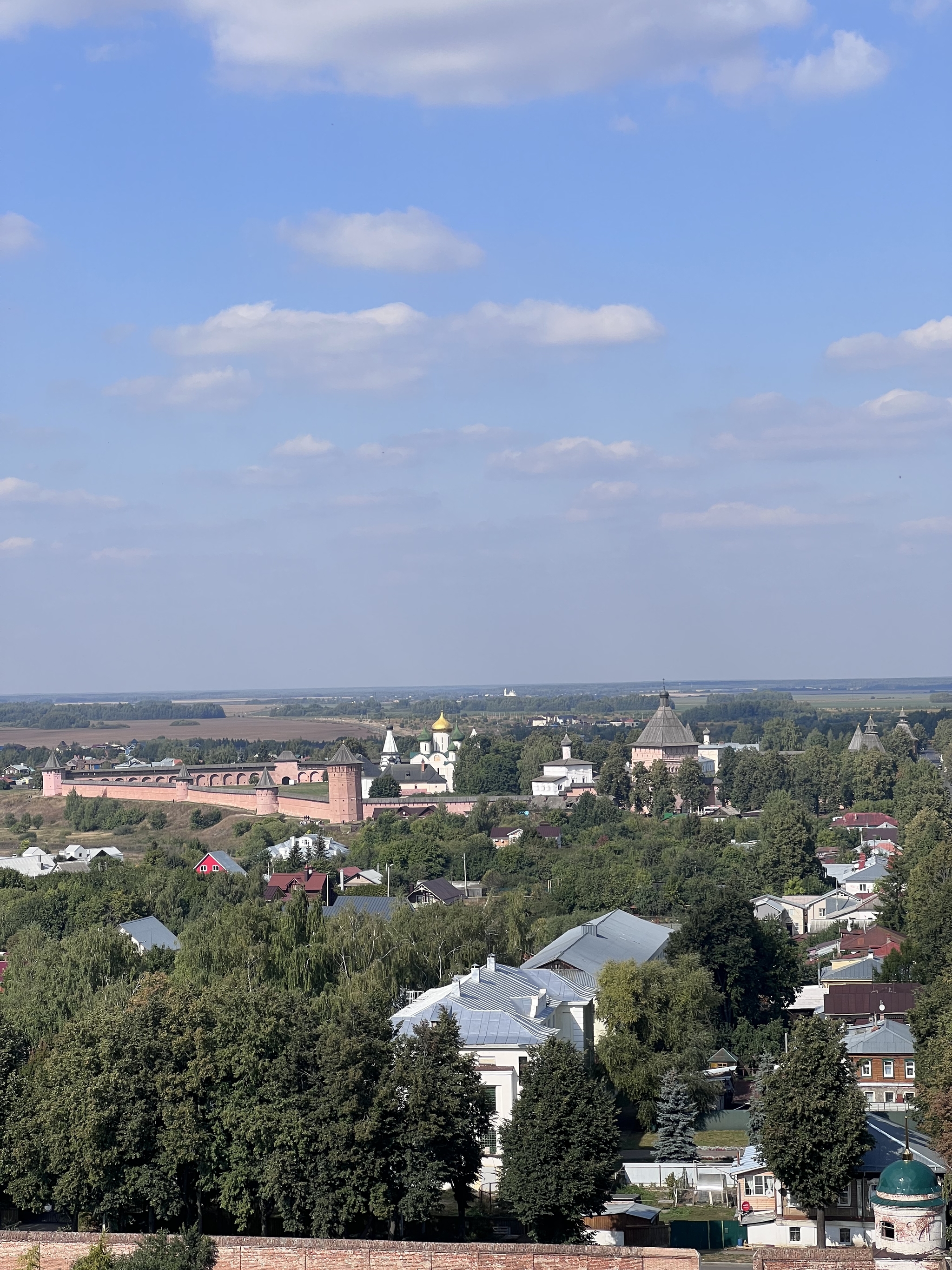 Venerable bell tower - My, Suzdal, Bell tower, Nature, Story, Town, Longpost