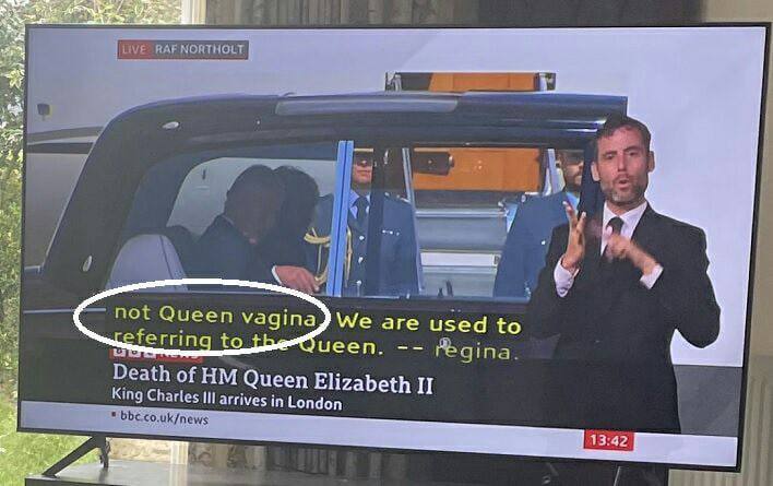 This vagina is not royal - Great Britain, The television, Fail, Queen, England, Humor, King Charles III (Prince Charles)