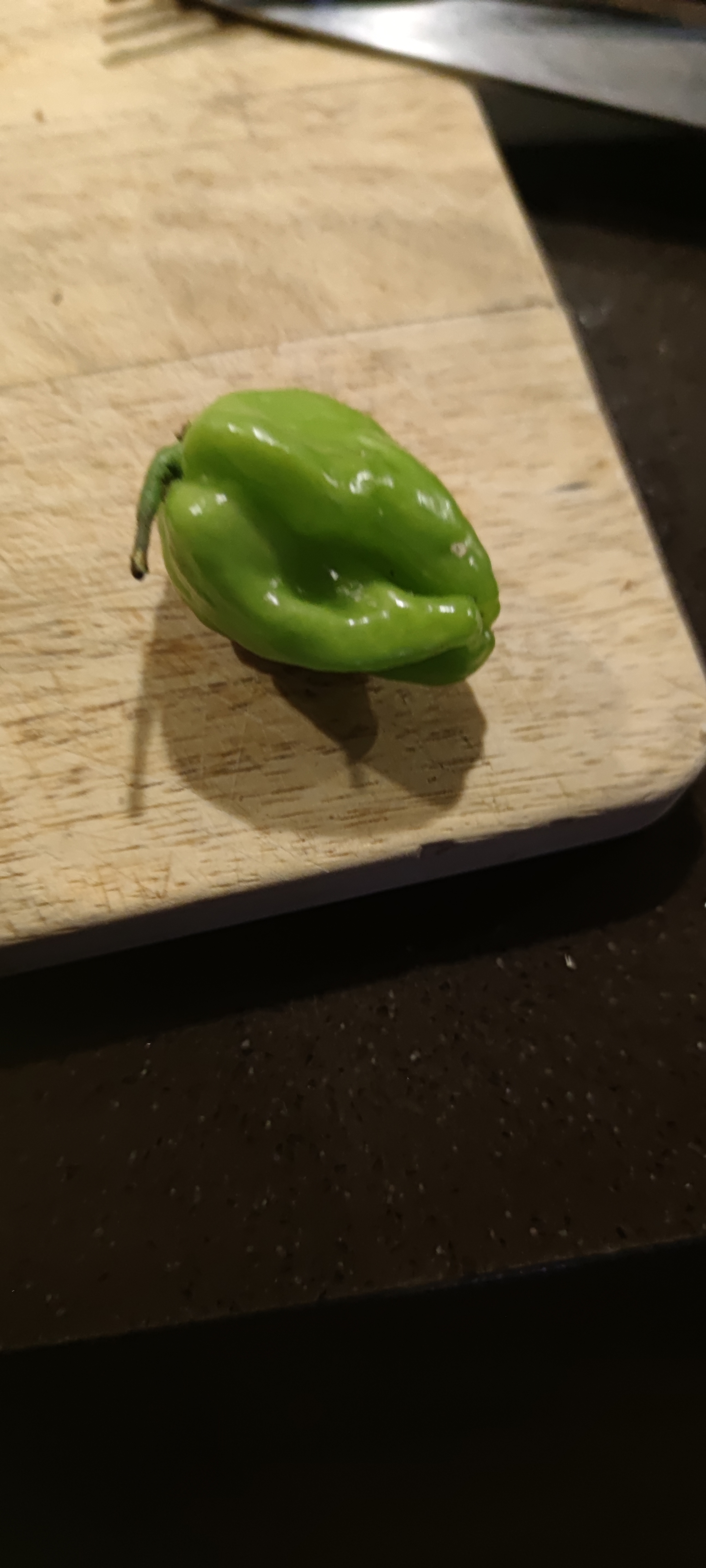 Carolina reaper - My, Hot peppers, Pepper, Longpost