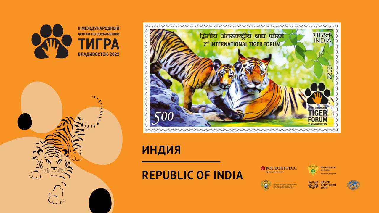 9 countries issued tiger stamps at once - Tiger, Forum, Philately, Stamps, Big cats, Russia, India, Myanmar, Laos, Vietnam, Malaysia, North Korea, China, Cambodia, mail, Rare view, Species conservation, Longpost, Cat family