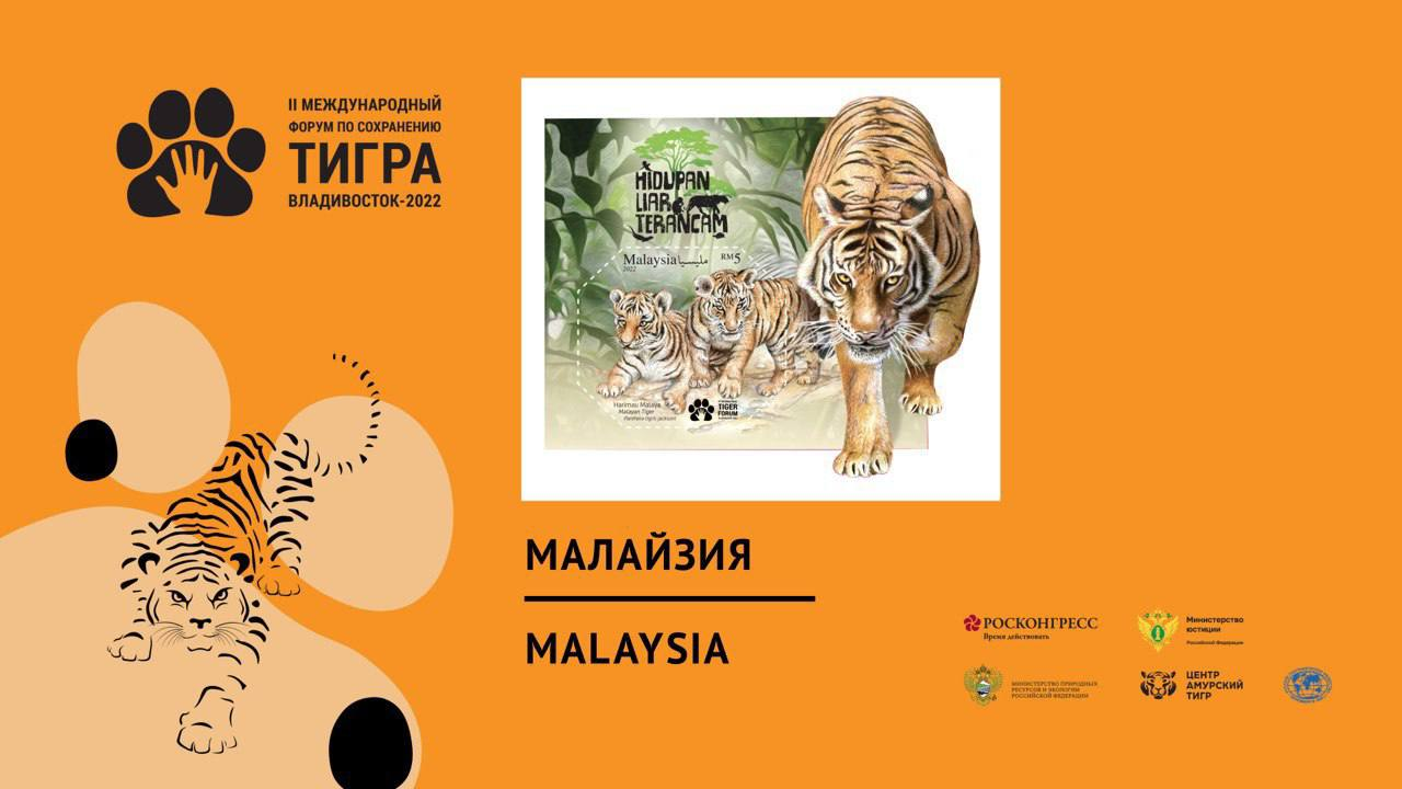 9 countries issued tiger stamps at once - Tiger, Forum, Philately, Stamps, Big cats, Russia, India, Myanmar, Laos, Vietnam, Malaysia, North Korea, China, Cambodia, mail, Rare view, Species conservation, Longpost, Cat family