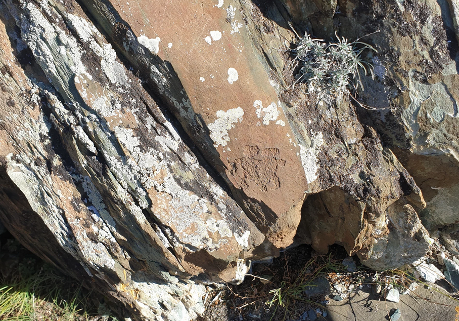 Mysterious petroglyphs of Altai - My, Туристы, Travels, Mythology, Tourism, Story, Antiquity, The mountains, Vacation, Relaxation, Nature, Hike, Interesting, Longpost, Altai Republic