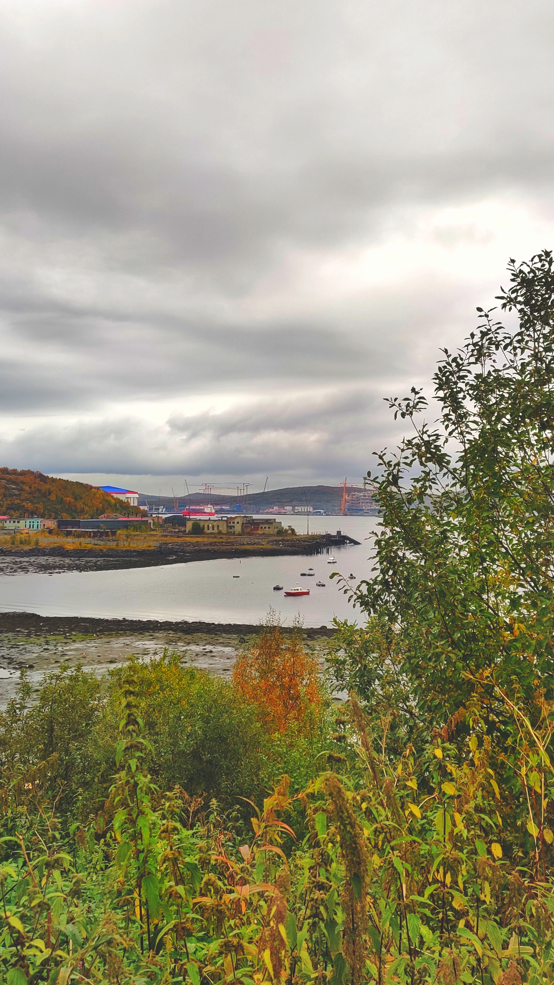 Autumn has come to the North - My, Mobile photography, beauty of nature, Autumn, North, Longpost, Murmansk