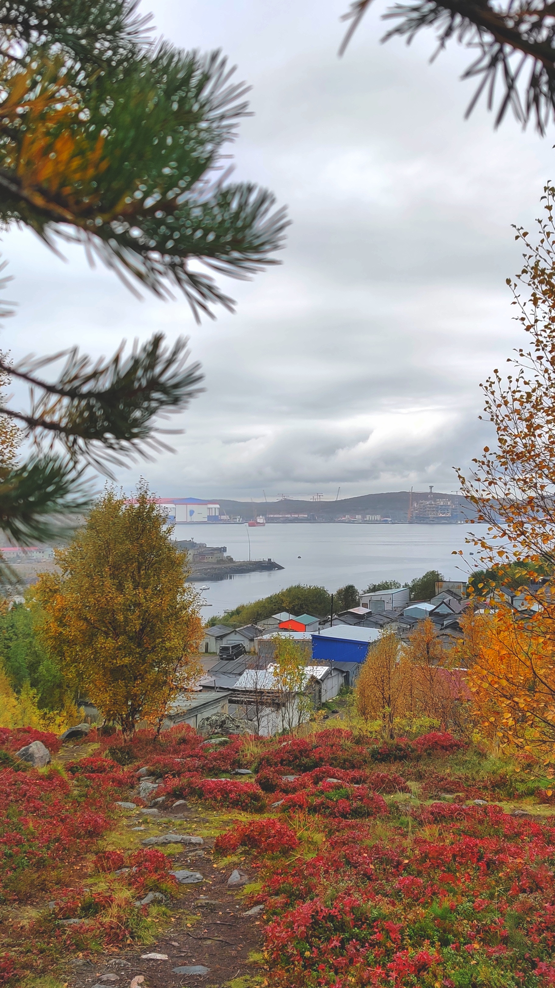 Autumn has come to the North - My, Mobile photography, beauty of nature, Autumn, North, Longpost, Murmansk