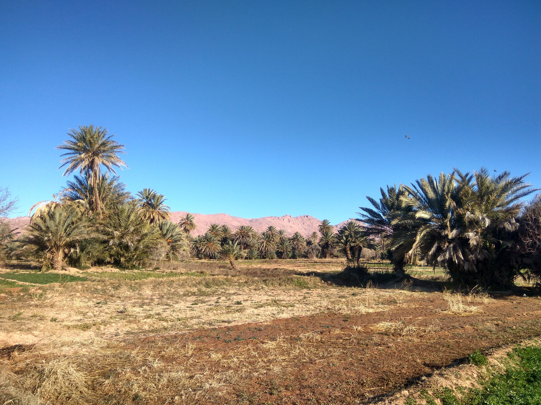 Morocco 2019. Day 9. Sahara. PART 1: - My, Hike, Adventures, The mountains, Author's story, Camping, Туристы, Mountain tourism, Russian language, The words, English language, Russians, Prose, To be continued, Writing, Story, Samizdat, Travels, Morocco, Africa, Longpost, Kola Peninsula