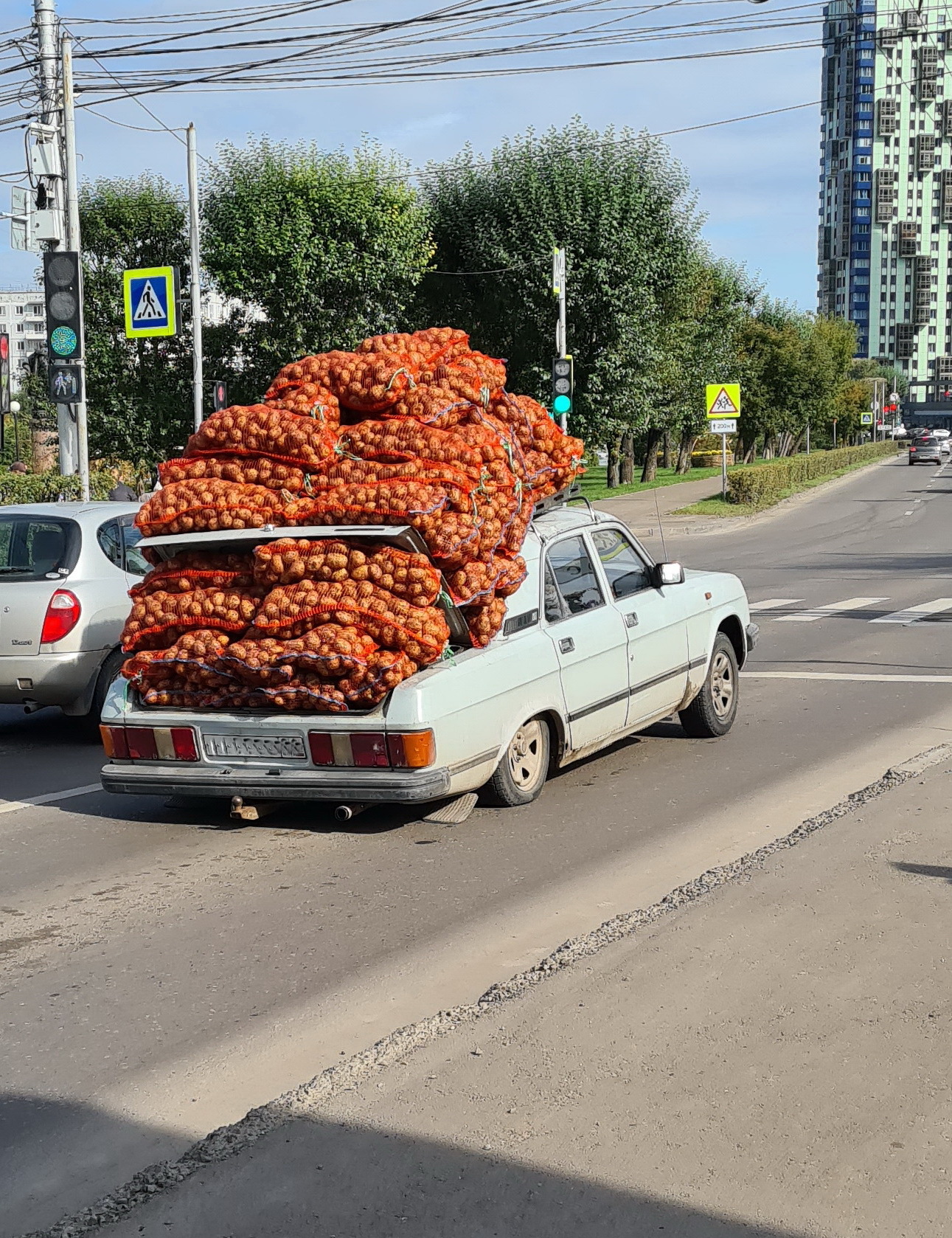 potato season - My, Krasnoyarsk, Siberia, Autumn, Harvest, Potato, Auto, The photo, Longpost, Obvious-Incredible