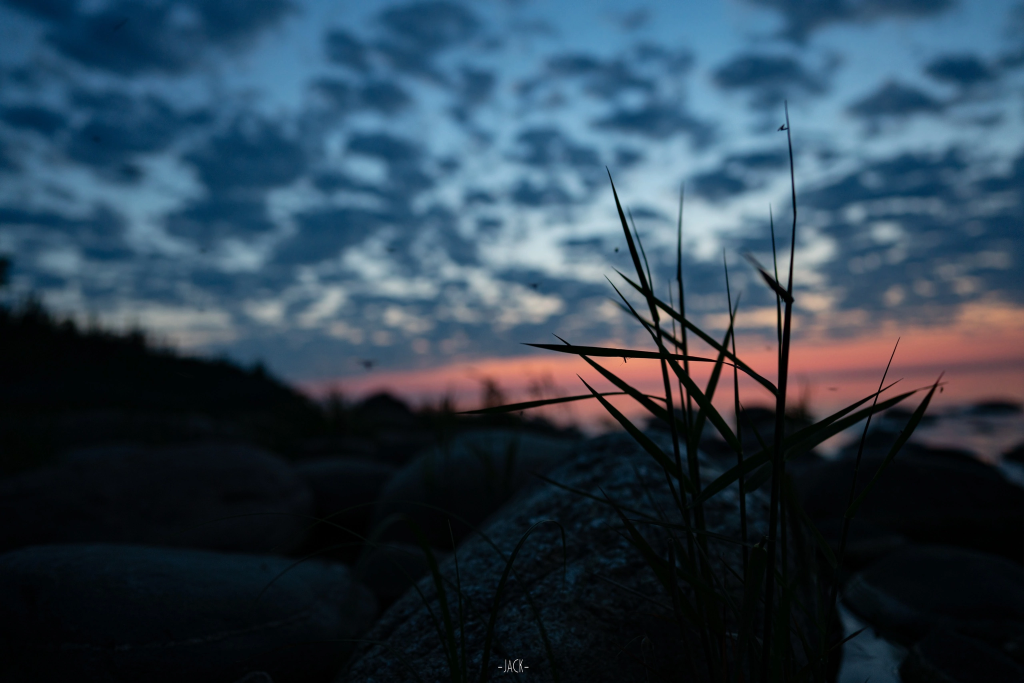 Night on the coast - My, Night, Shore, Lake, Ladoga, Priozersk, Sunset, Sunrises and sunsets, Water, Sky, Nature, wildlife, Russia, Travels, Travel across Russia, Forest, dawn