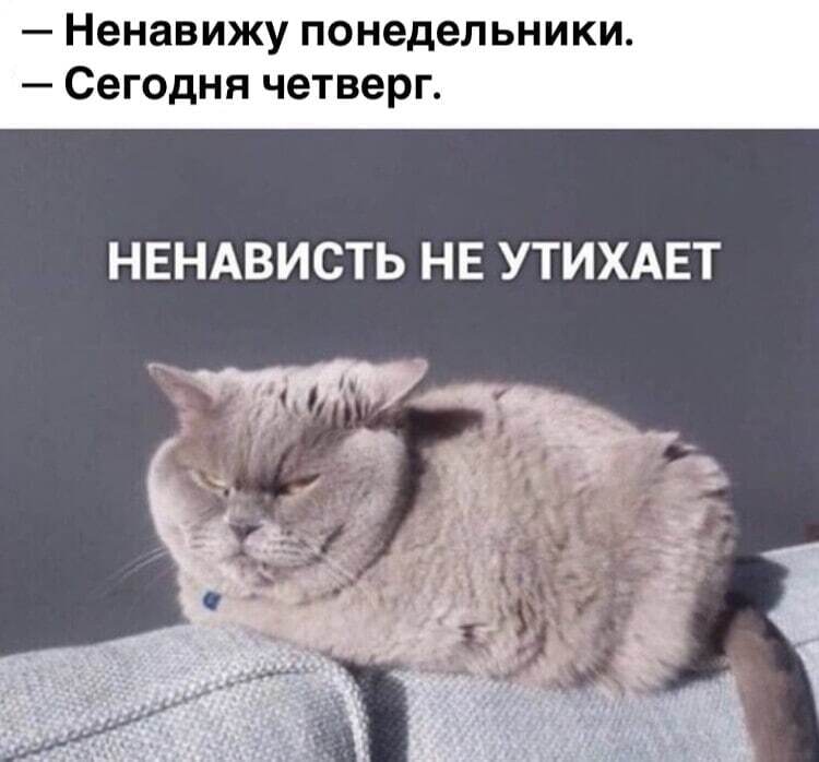 Недоброе утро | Пикабу