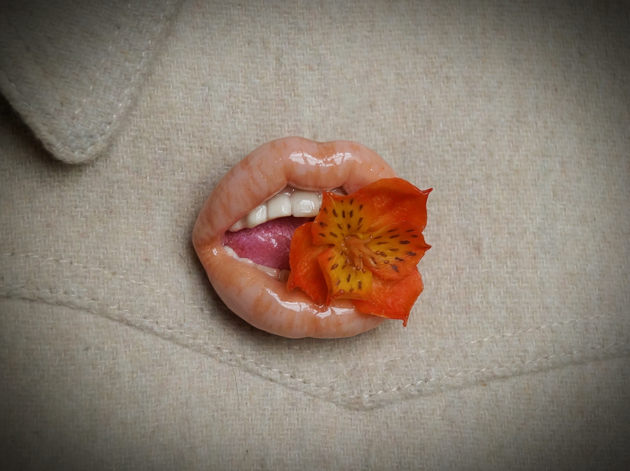 Brooches-lips .. sometimes I do for availability, between baked berries and mushrooms))) - My, Needlework without process, Лепка, Polymer clay, Creation, Art, Autumn, For an amateur, Surrealism, Realism, Longpost, Brooch