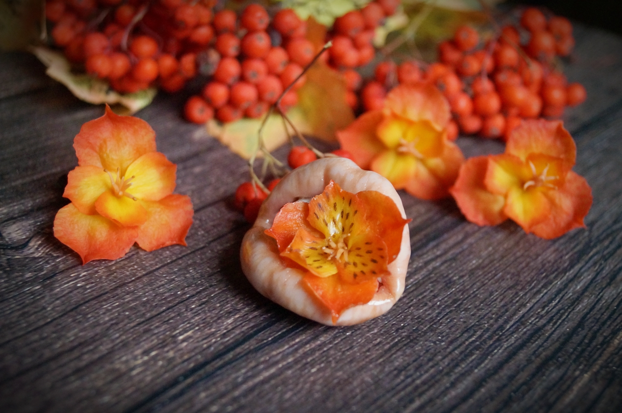 Brooches-lips .. sometimes I do for availability, between baked berries and mushrooms))) - My, Needlework without process, Лепка, Polymer clay, Creation, Art, Autumn, For an amateur, Surrealism, Realism, Longpost, Brooch