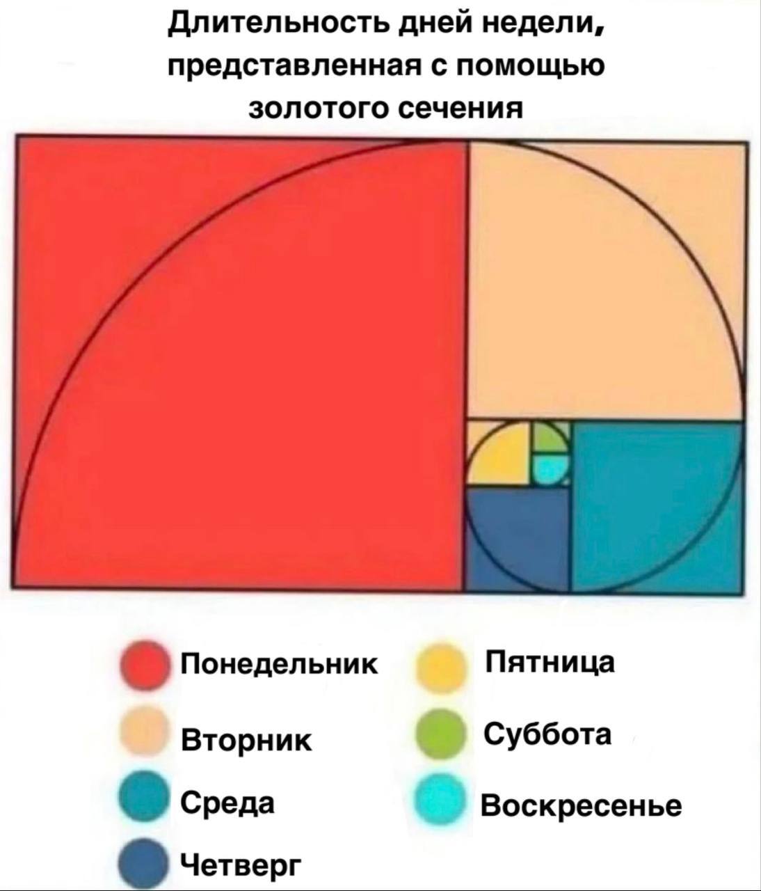 Правда жизни - Математика, Жизненно, Золотое сечение