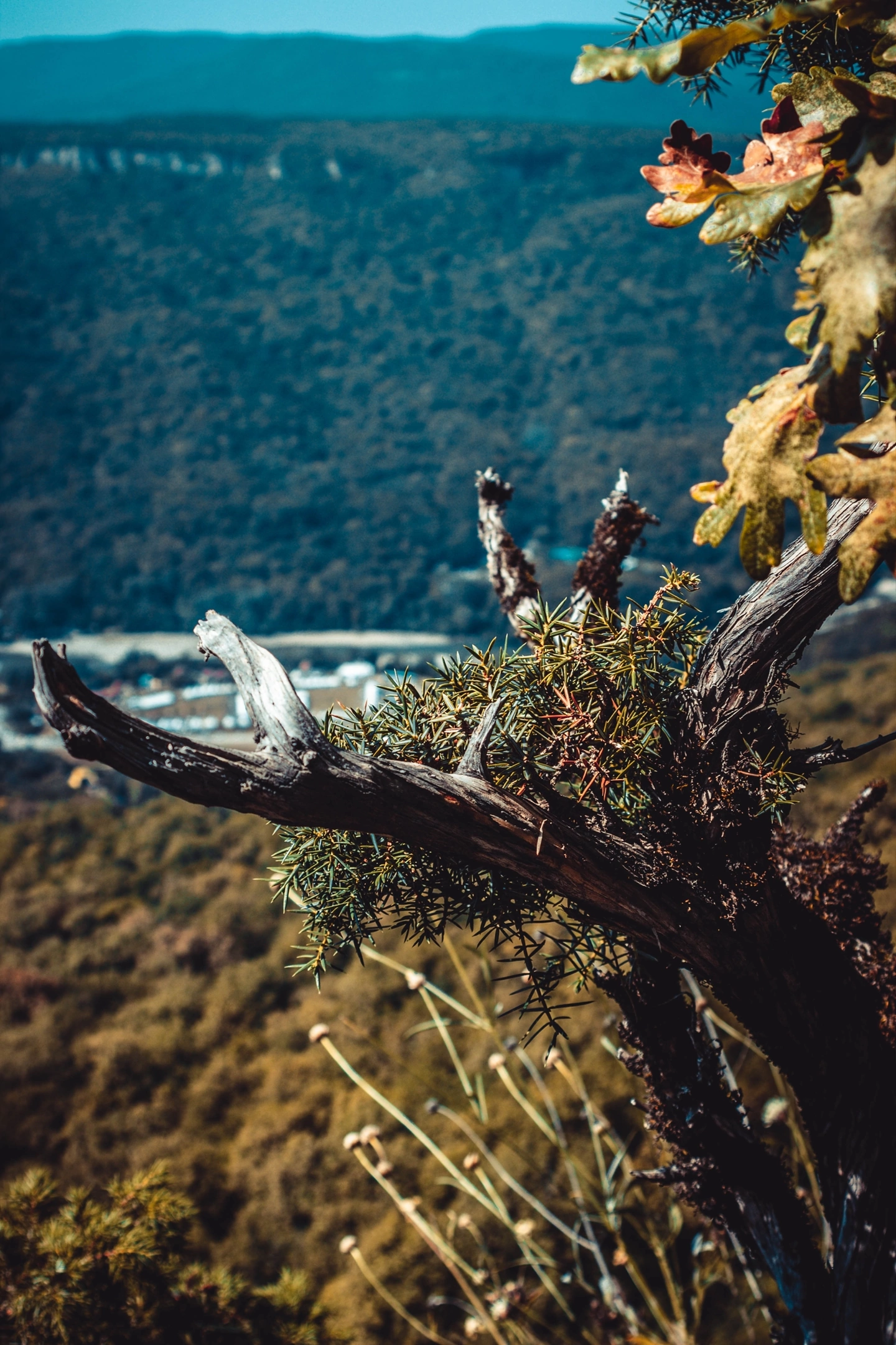 Maykop, Adygea - My, Republic of Adygea, Professional shooting, Longpost, River, The mountains, The photo