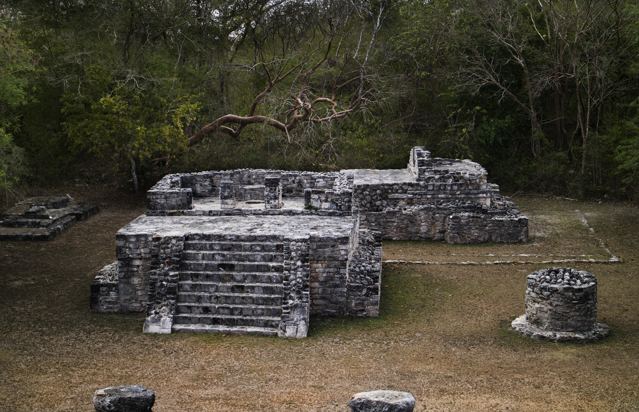 Stones and trunk - My, Mayan, Mexico, The photo