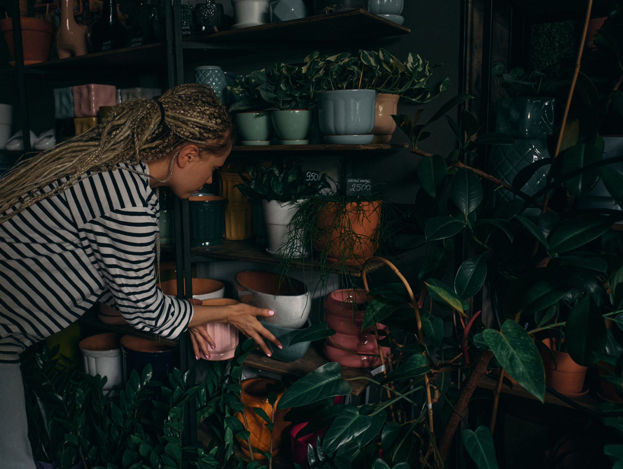 Interview with Maria Solopova – Plants NSK - My, Novosibirsk, Interview, Personal experience, Motivation, Photographer, Houseplants, Landscaping, Score, Plant pot, Longpost, Flowers