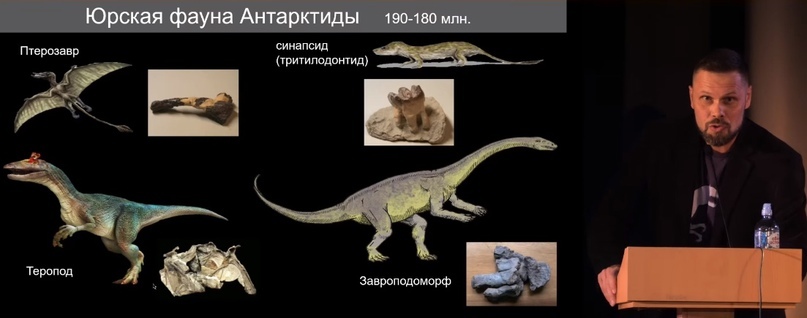 Как выживали полярные динозавры? Часть 1 - Моё, Ученые, Исследования, Наука, Познавательно, Научпоп, Павел Скучас, Вымершие виды, Биология, Видео, Видео вк, Длиннопост, Палеонтология