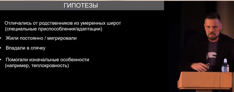 Как выживали полярные динозавры? Часть 1 - Моё, Ученые, Исследования, Наука, Познавательно, Научпоп, Павел Скучас, Вымершие виды, Биология, Видео, Видео вк, Длиннопост, Палеонтология