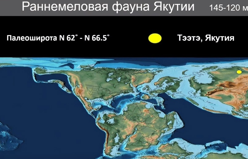 How did polar dinosaurs survive? Part 2 - My, Informative, Scientists, The science, Paleontology, Pavel Skuchas, Extinct species, Biology, Nauchpop, Video, Video VK, Longpost, Research