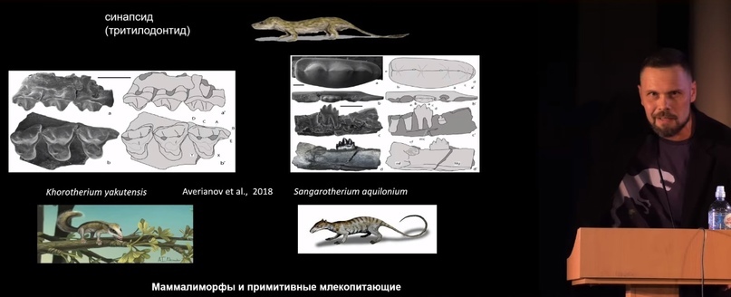 How did polar dinosaurs survive? Part 2 - My, Informative, Scientists, The science, Paleontology, Pavel Skuchas, Extinct species, Biology, Nauchpop, Video, Video VK, Longpost, Research