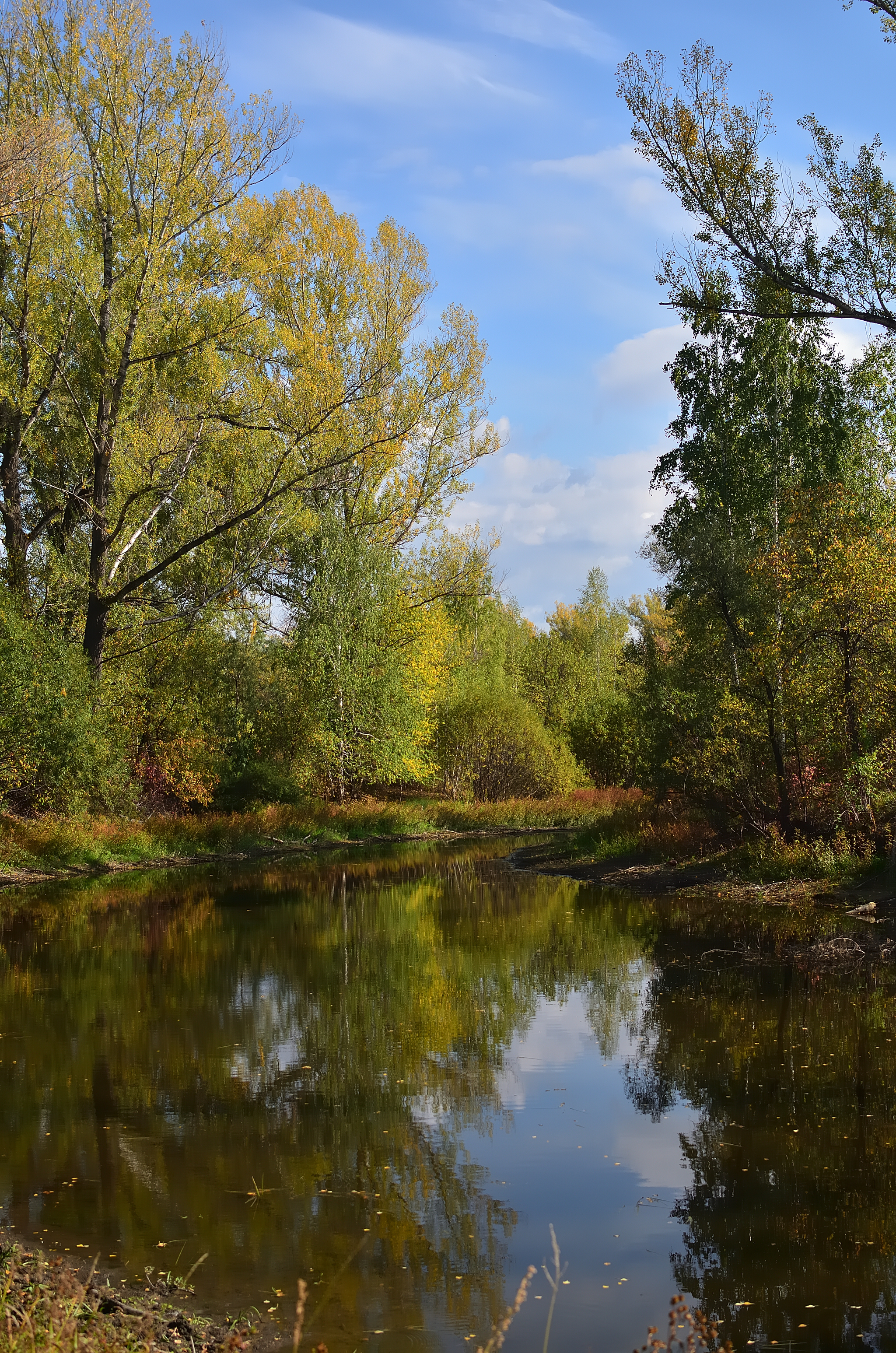 September sketches near the Yenisei River - My, Krasnoyarsk region, Shushenskoye, The photo, Autumn, Shushka, Longpost, Yenisei